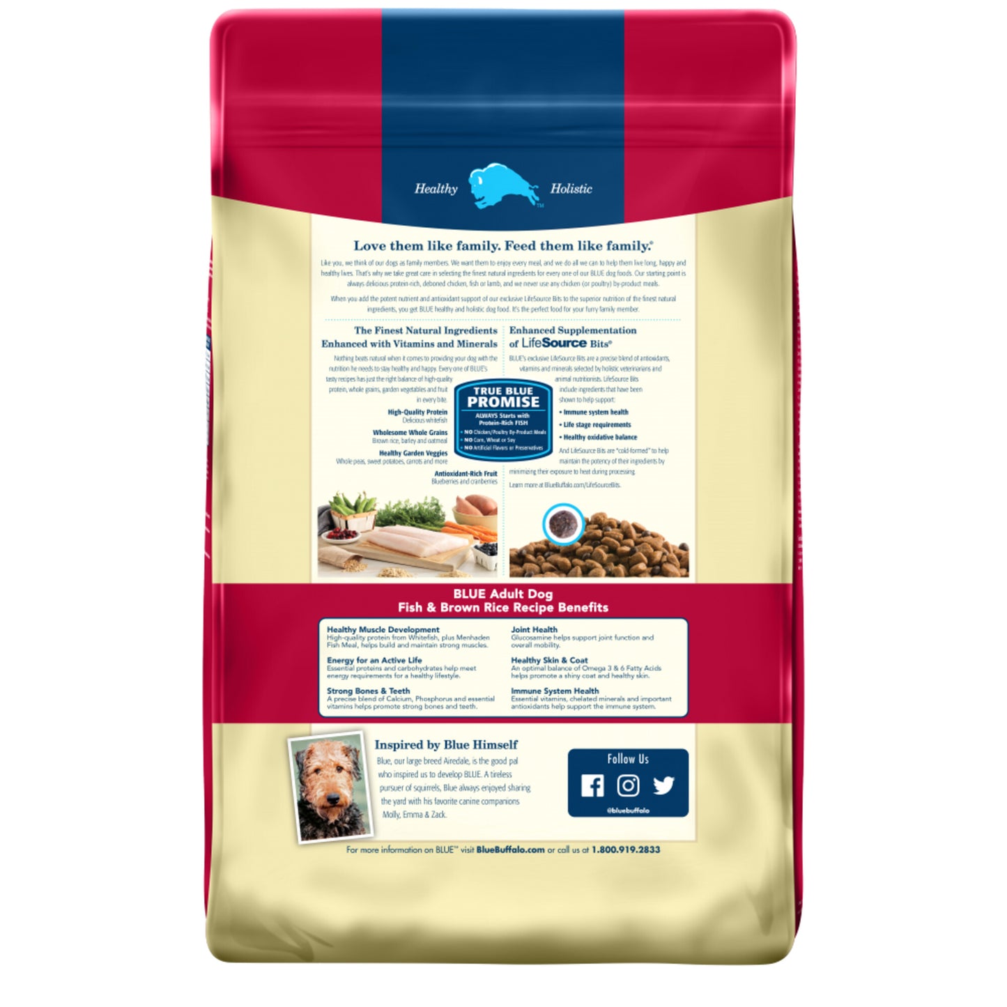 Blue Buffalo Life Protection Natural Fish & Brown Rice Recipe Adult Dry Dog Food