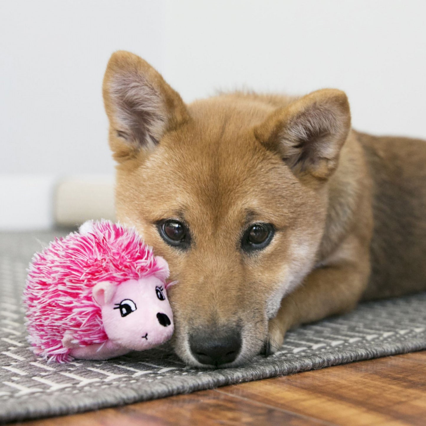 KONG Comfort HedgeHug Puppy Dog Toy (Color Varies)