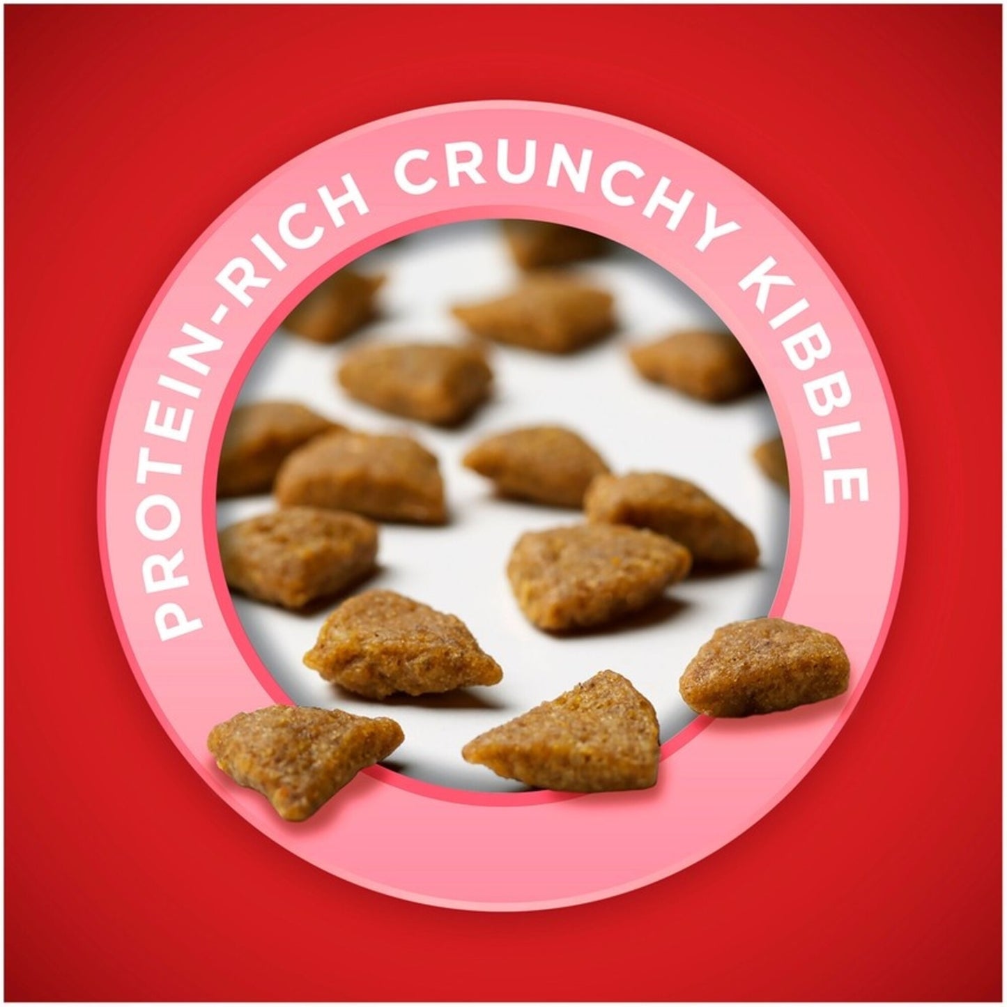 Purina ONE +Plus Skin & Coat Formula Dry Dog Food