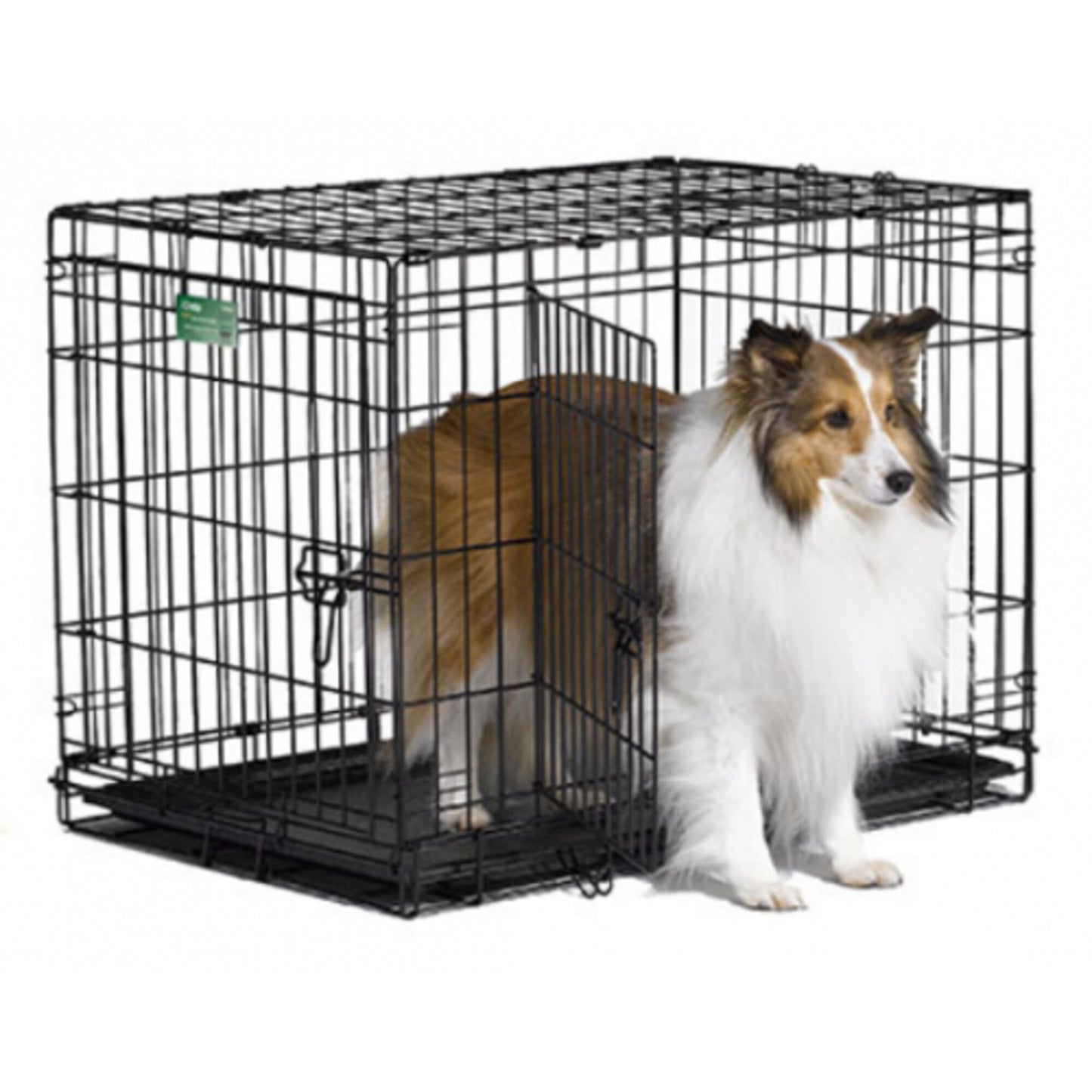 Midwest iCrate Double Door Dog Crate