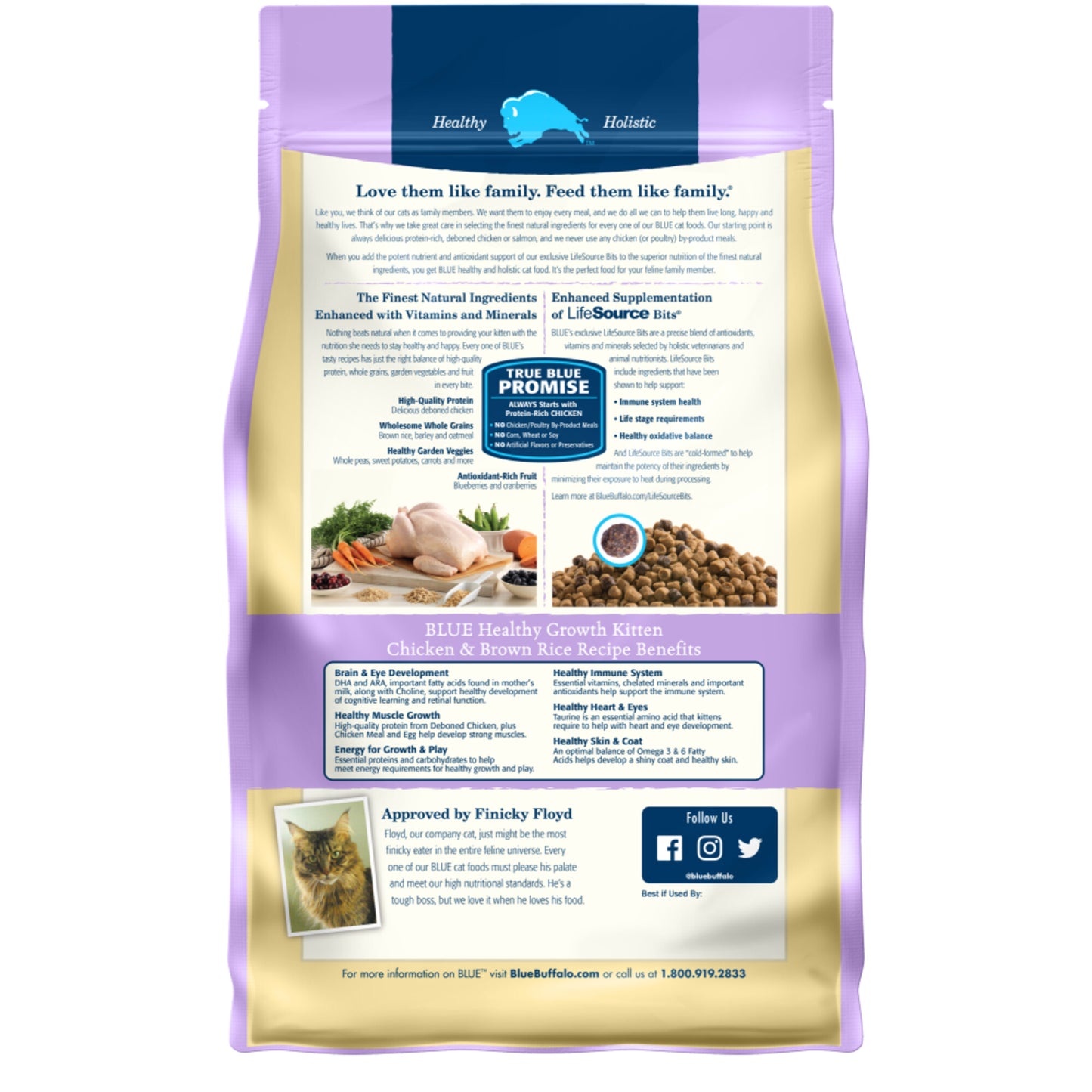 Blue Buffalo Healthy Growth Natural Chicken & Brown Rice Kitten Dry Cat Food