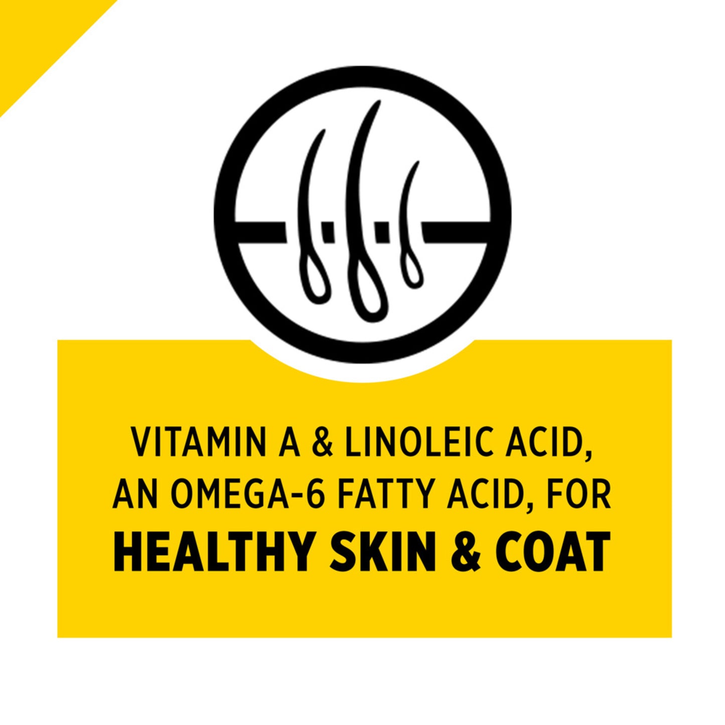 Purina Pro Plan Bright Mind Adult 7plus Chicken & Rice Formula Dry Dog Food