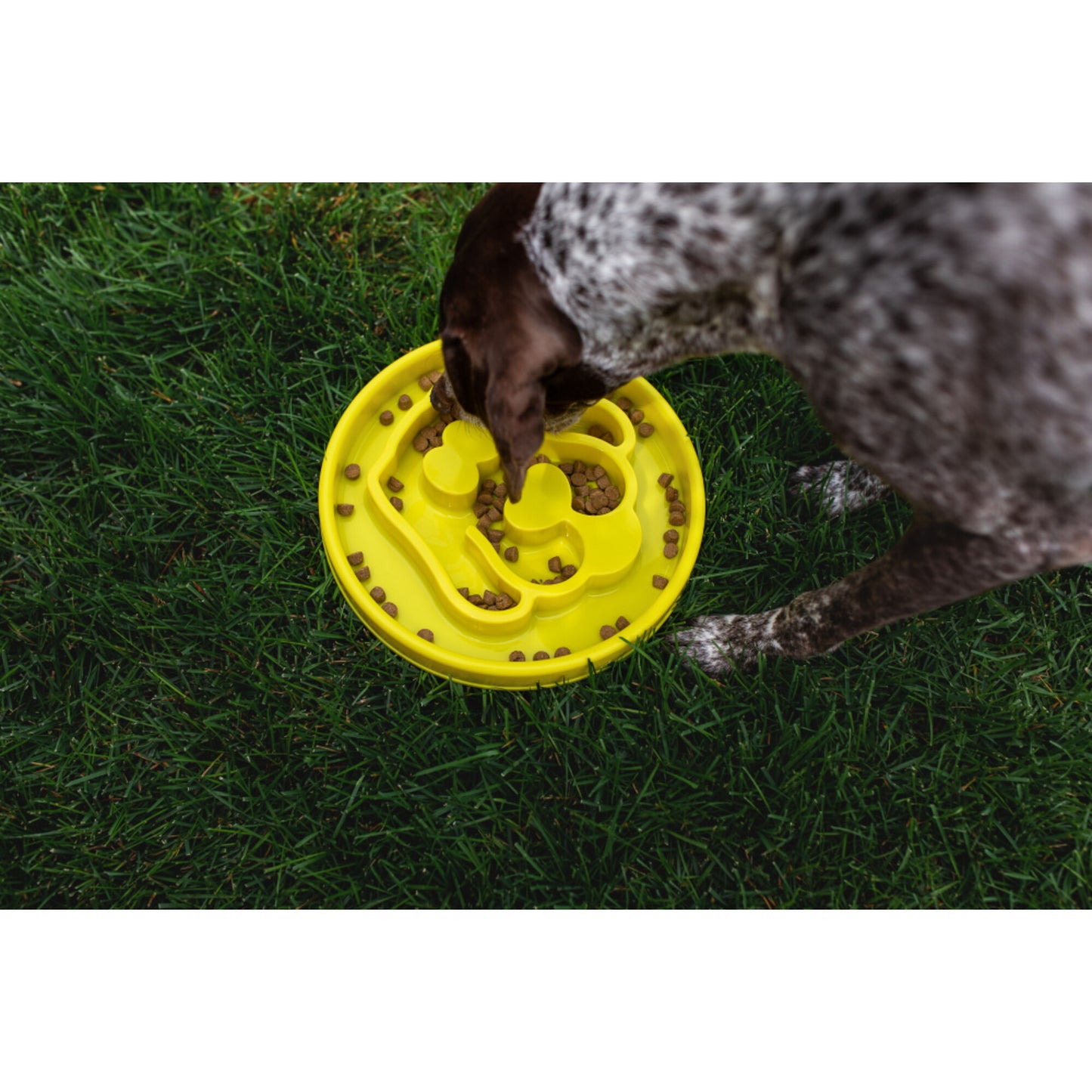 BeOneBreed Yellow Slow Feeder Dog Food Bowl