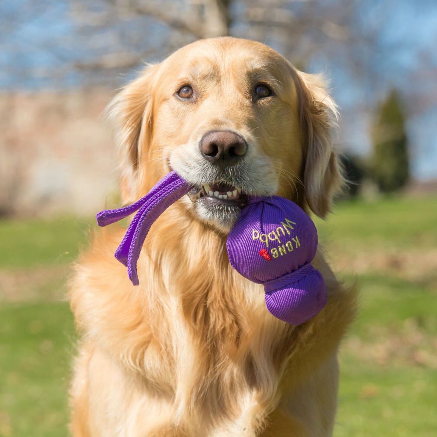 KONG Wubba Mega Dog Toy (Colors Vary)