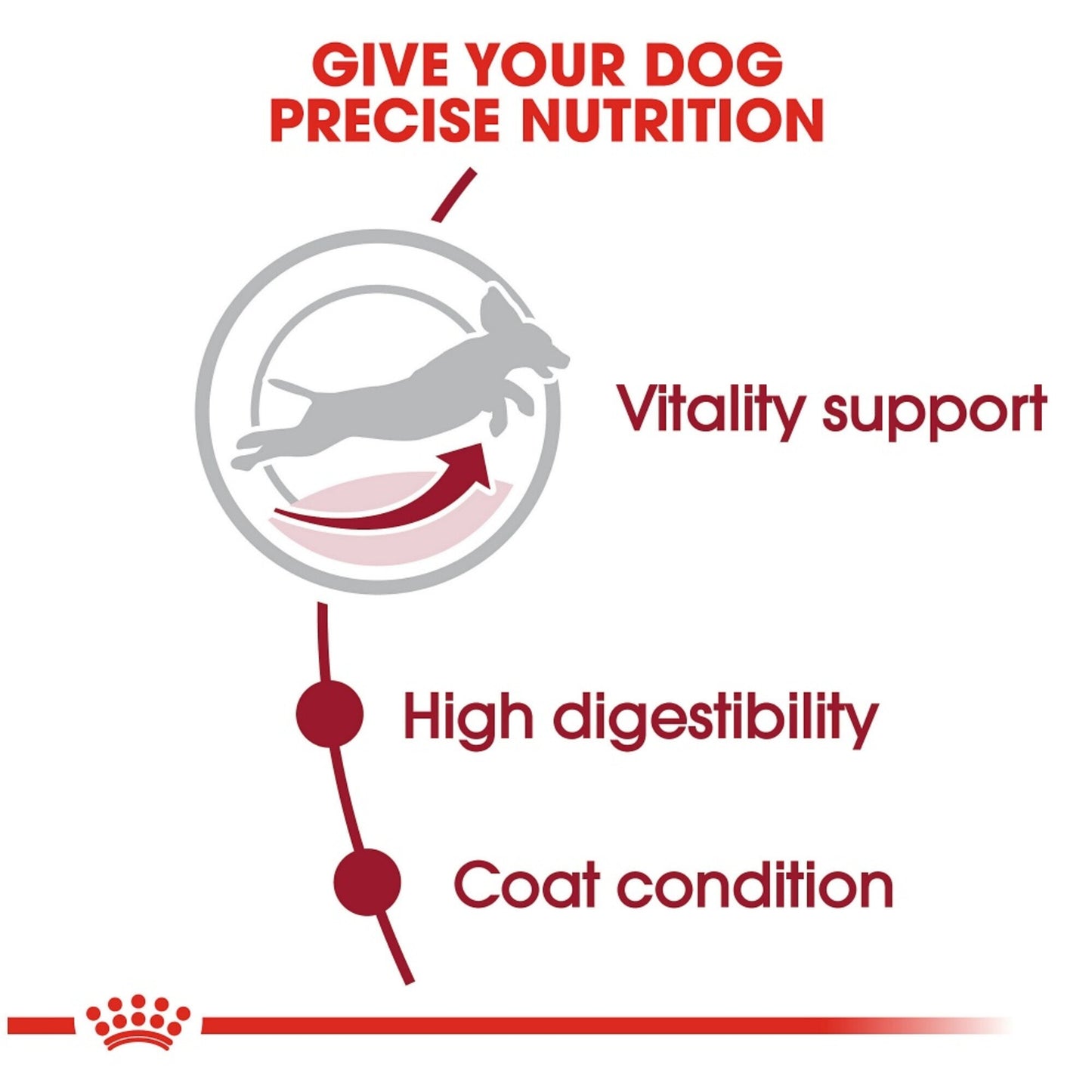 Royal Canin Size Health Nutrition Medium Adult 7+ Dry Dog Food