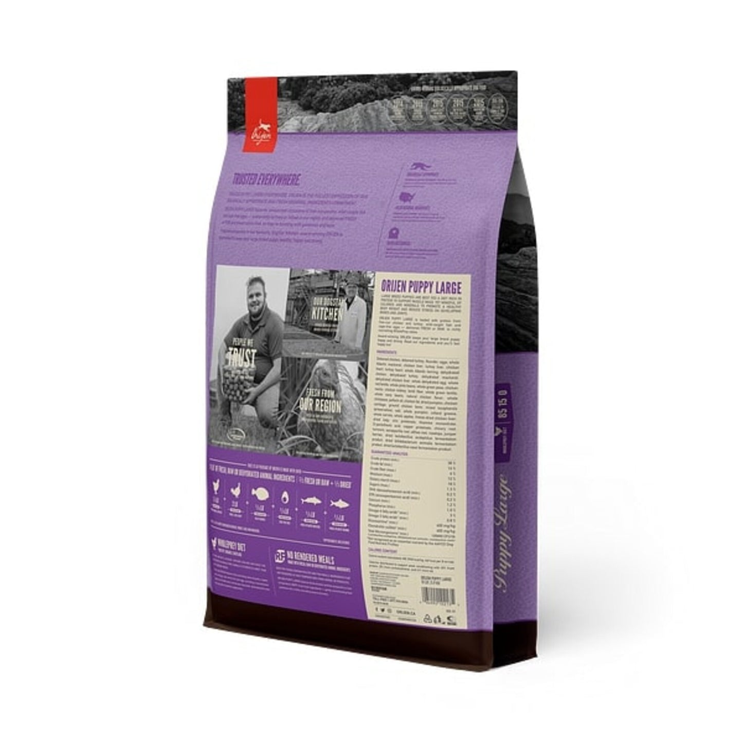 ORIJEN Puppy Large Breed Dry Dog Food