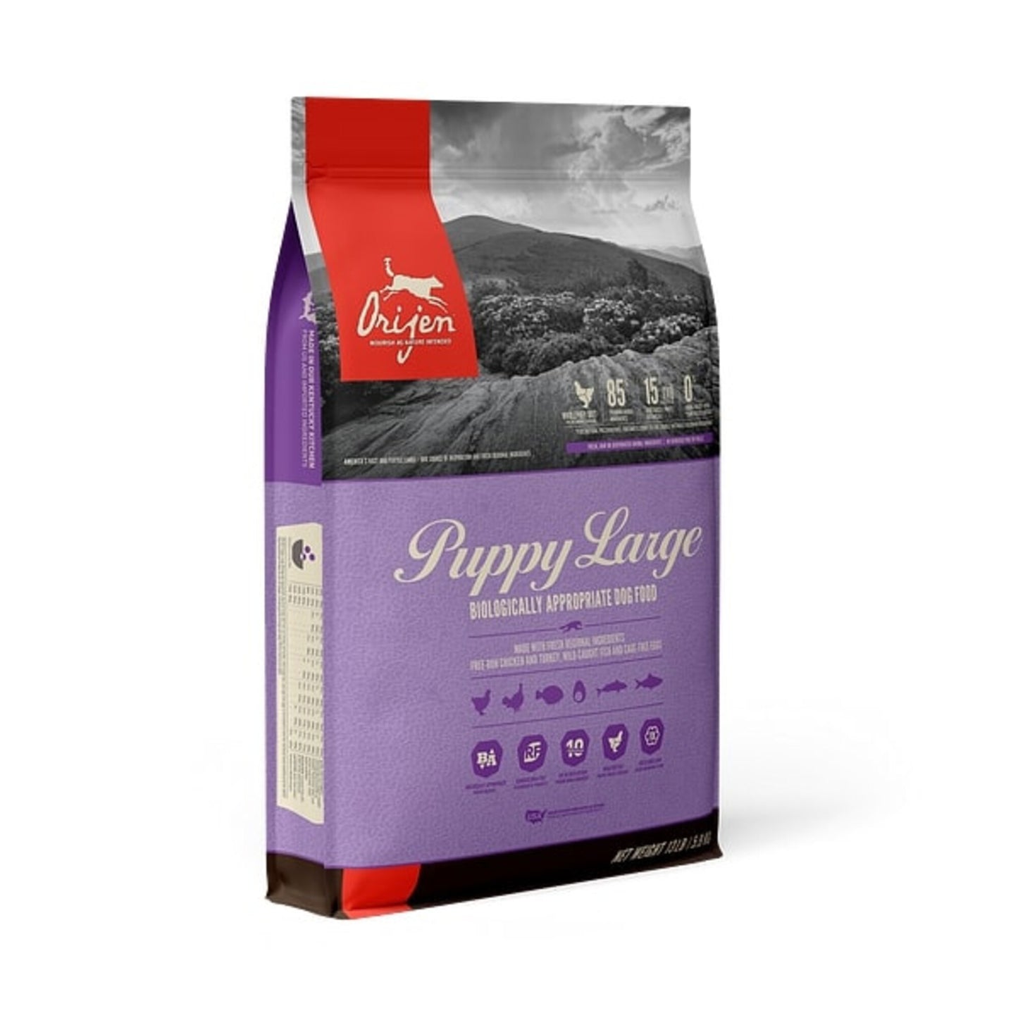 ORIJEN Puppy Large Breed Dry Dog Food