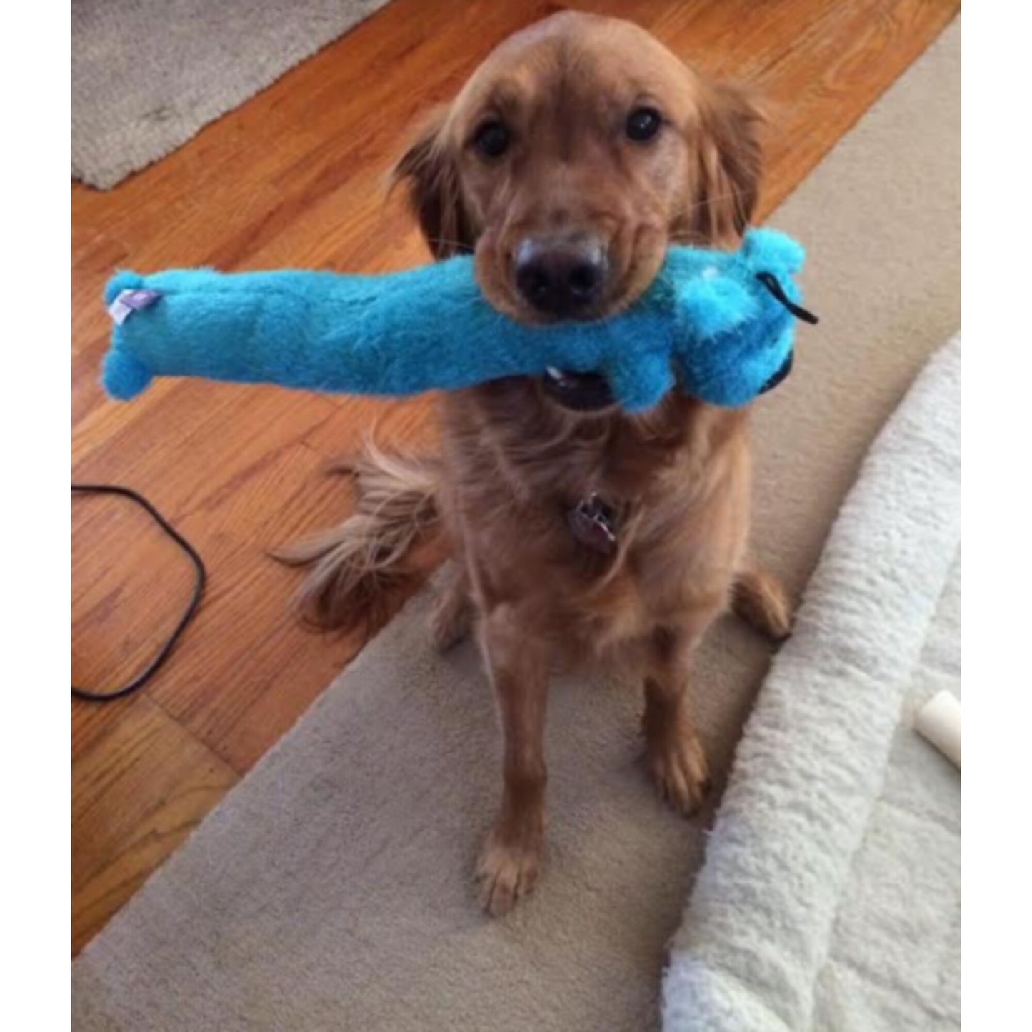 MultiPet Loofa Dog Toy