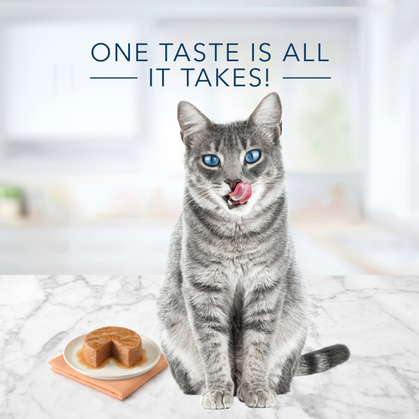 Blue Buffalo Tastefuls Natural Pate Salmon Entree Wet Cat Food