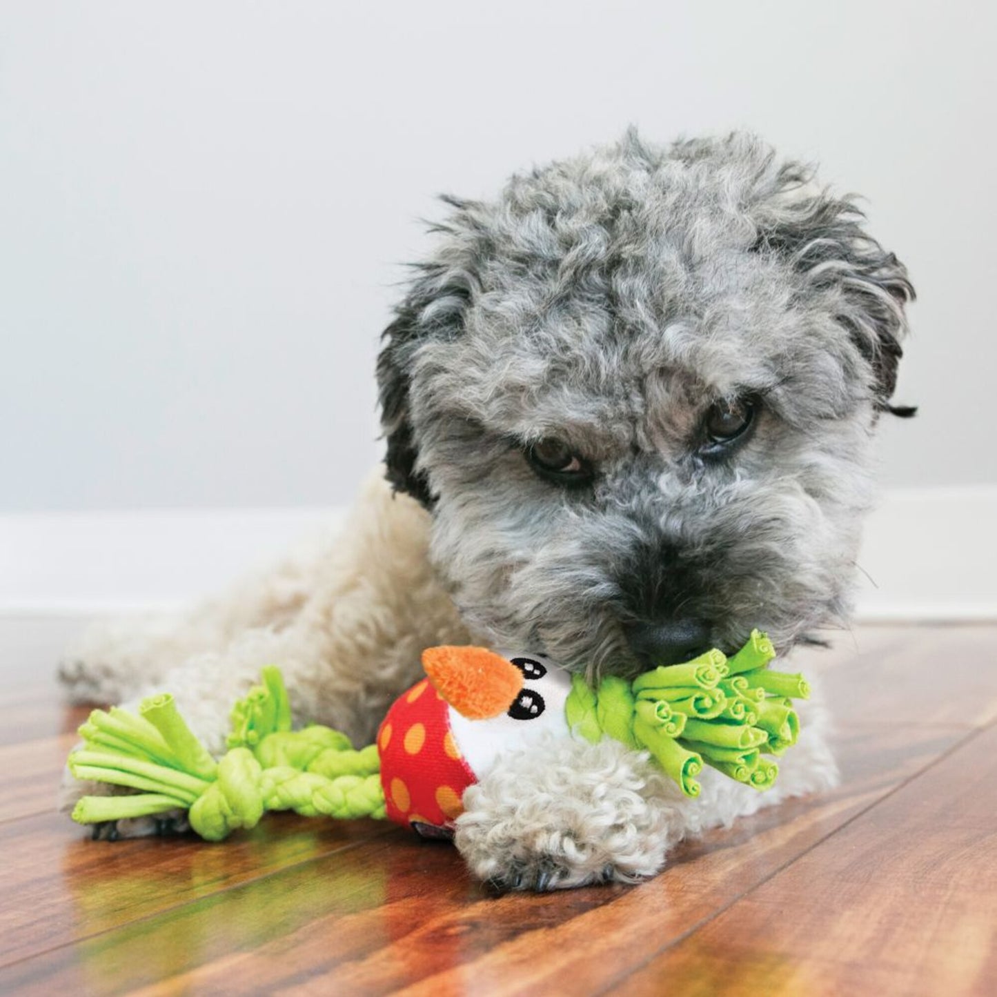 KONG Dots & Daisies Egg Dog Toy