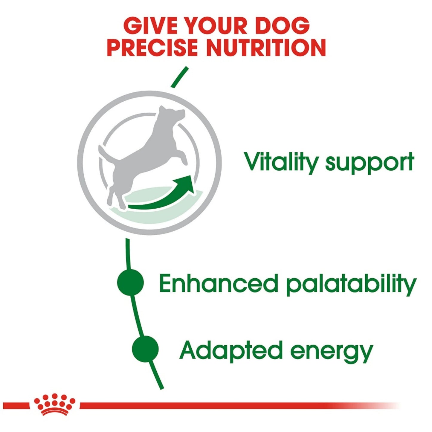 Royal Canin Size Health Nutrition Small Breed Mature 8+ Dry Dog Food