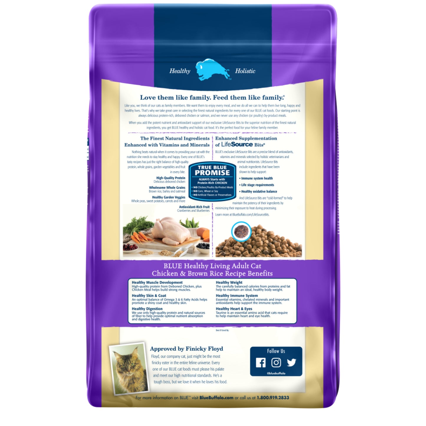 Blue Buffalo Healthy Living Adult Chicken and Brown Rice Recipe Dry Cat Food