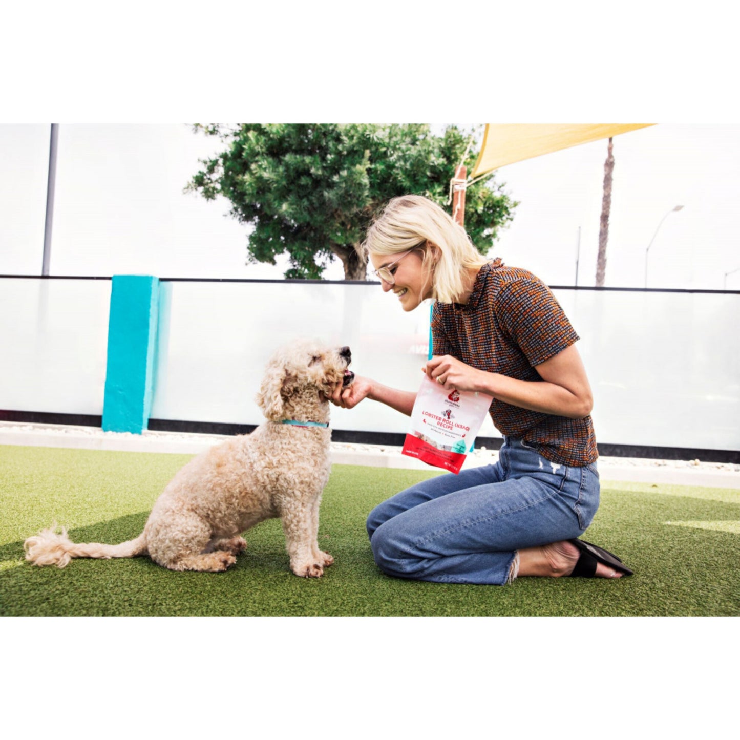 Shameless Pets Lobster Rollover Soft-Baked Dog Treats
