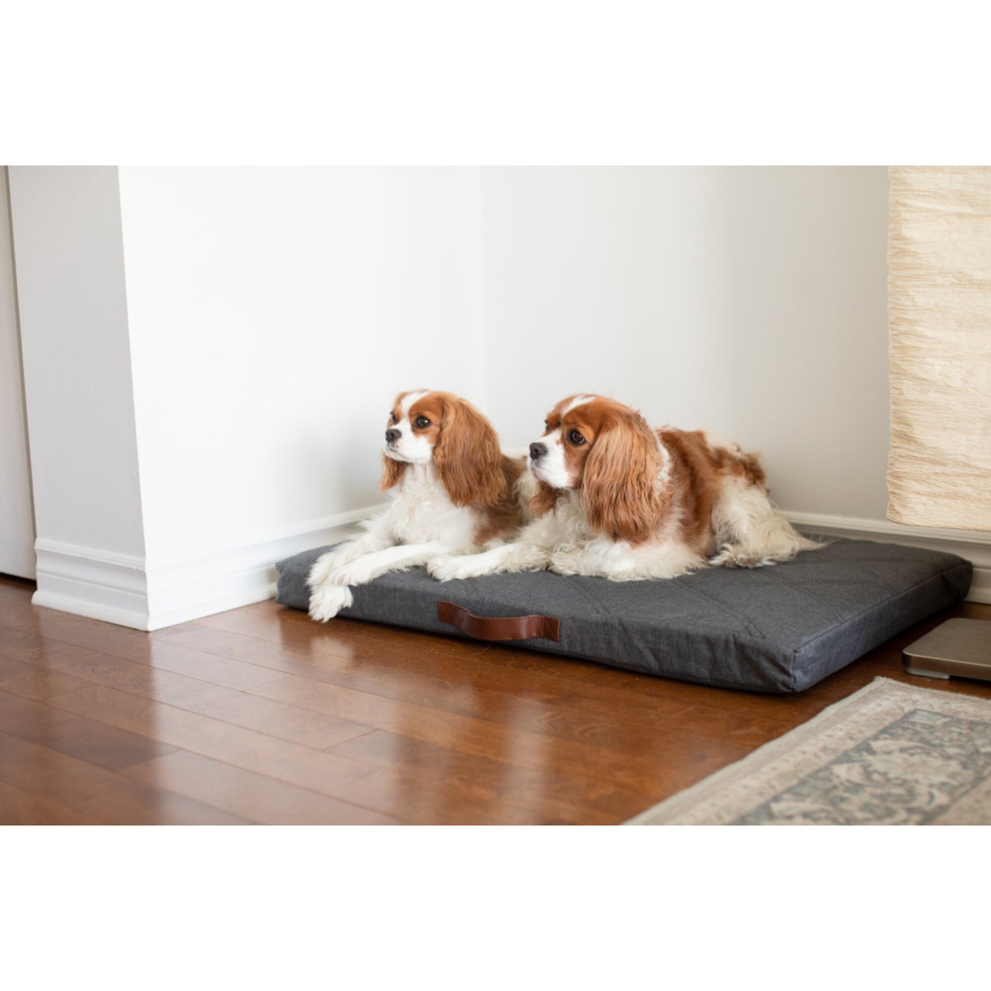 BeOneBreed Powernap Orthopedic Bed for Cats & Dogs