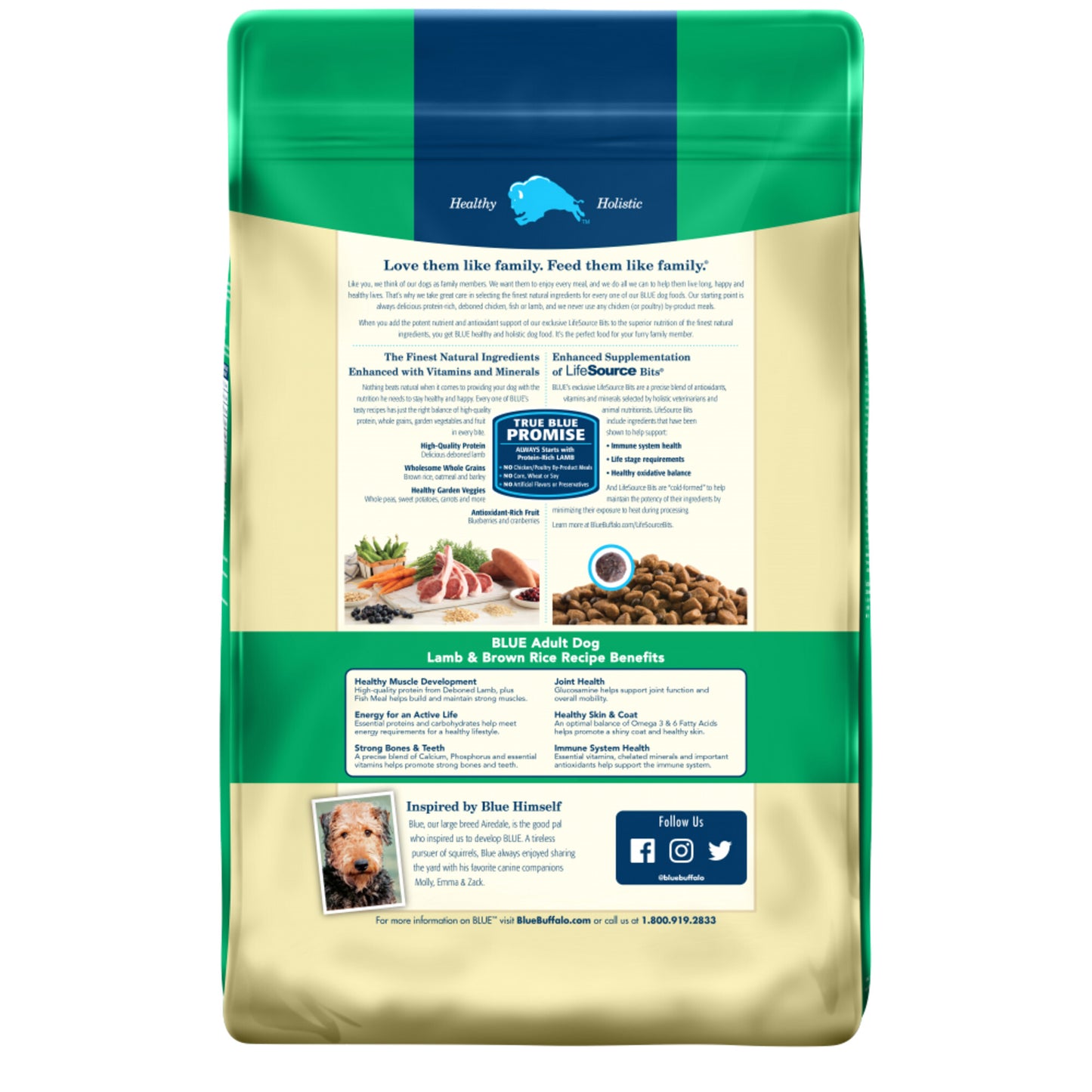 Blue Buffalo Life Protection Natural Lamb & Brown Rice Recipe Adult Dry Dog Food