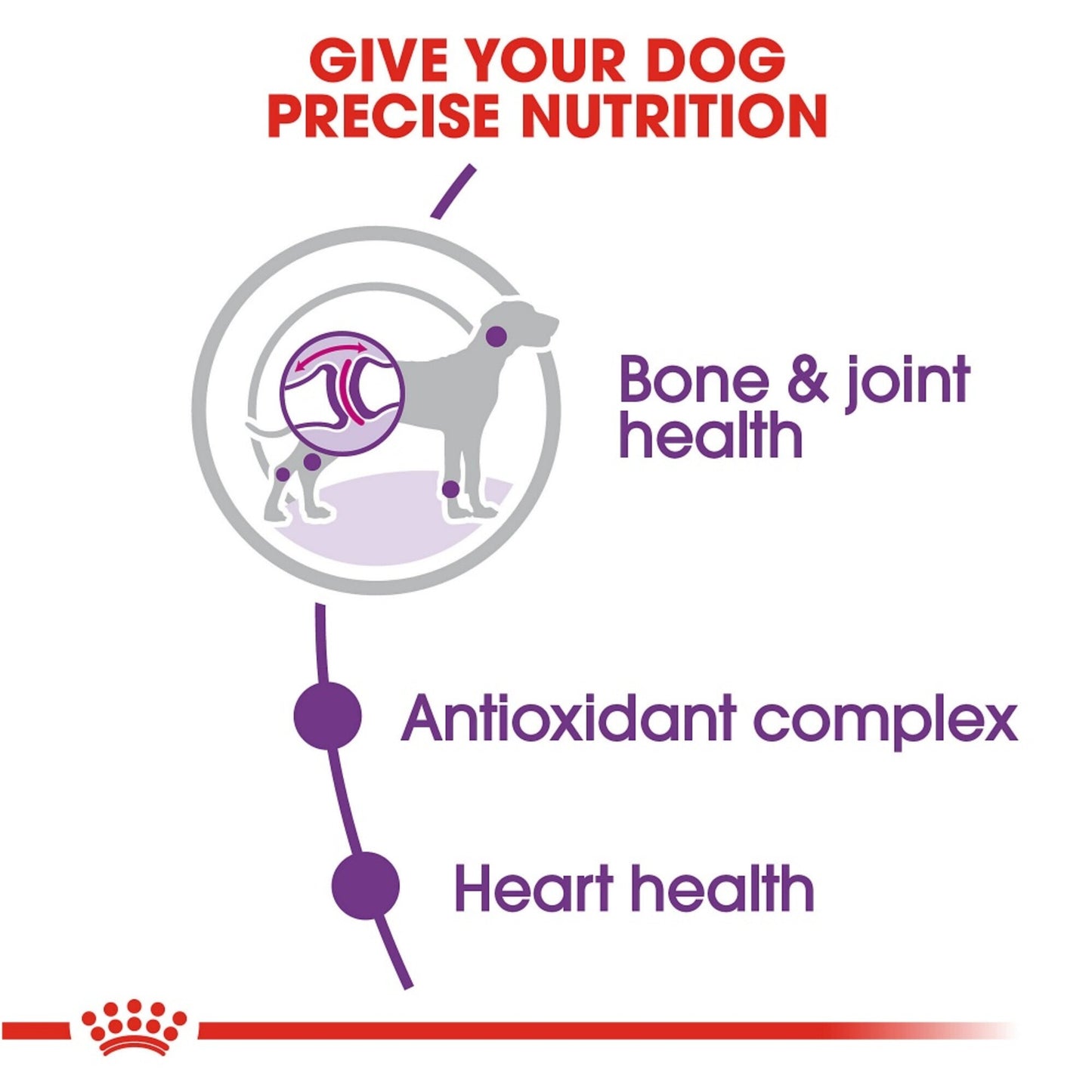 Royal Canin Size Health Nutrition Giant Adult Dry Dog Food