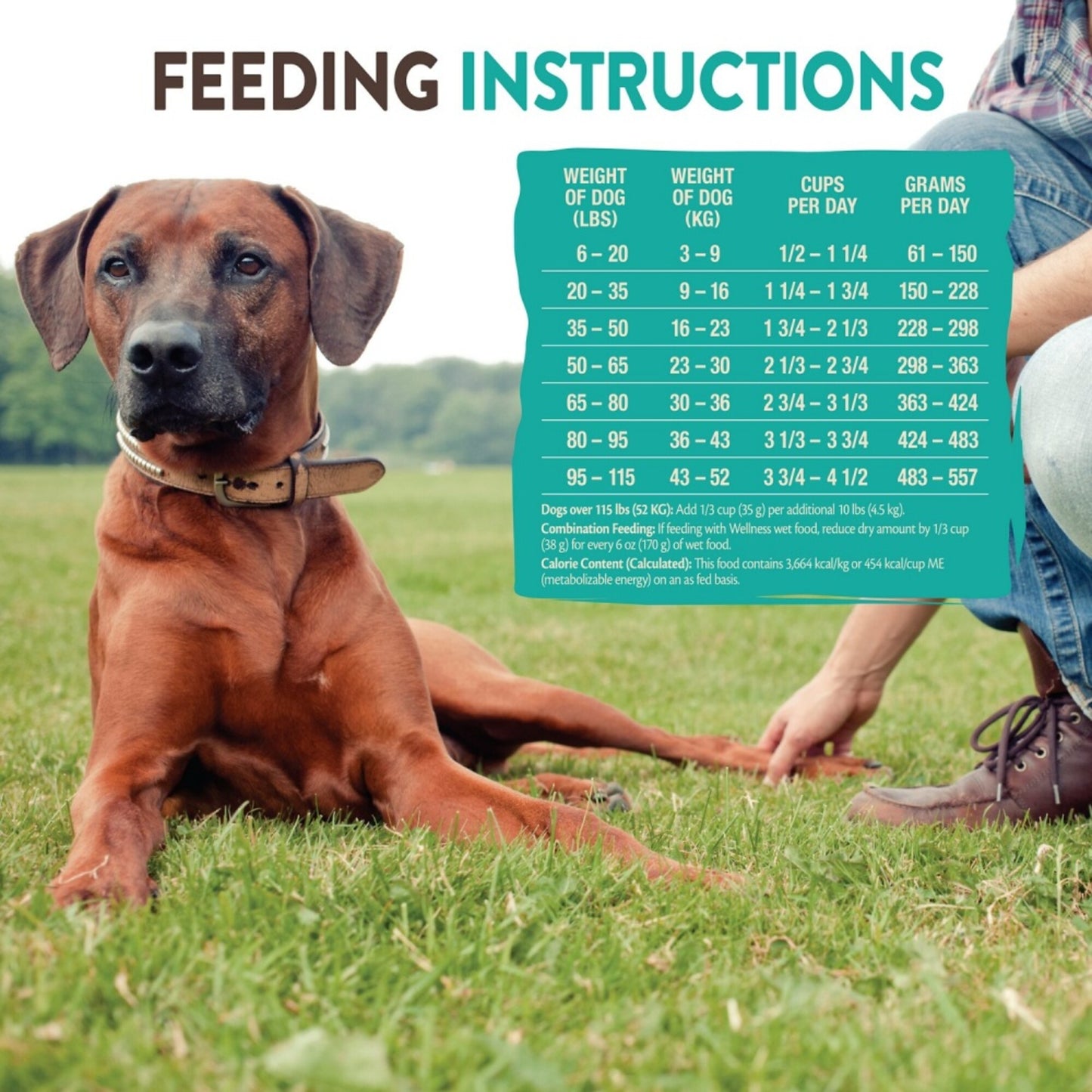 Wellness CORE SIX Salmon with Chickpeas Recipe Dry Dog Food