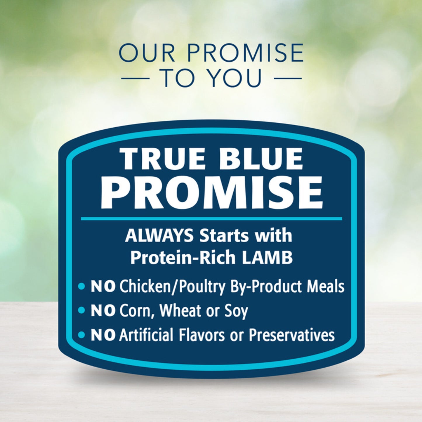 Blue Buffalo Freedom Grain Free Grillers Hearty Lamb Dinner Canned Dog Food