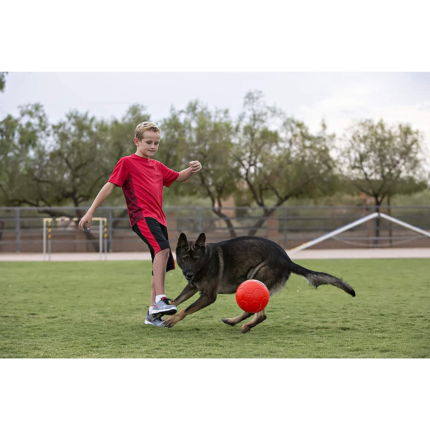 Jolly Pets Jolly Soccer Ball Dog Toy