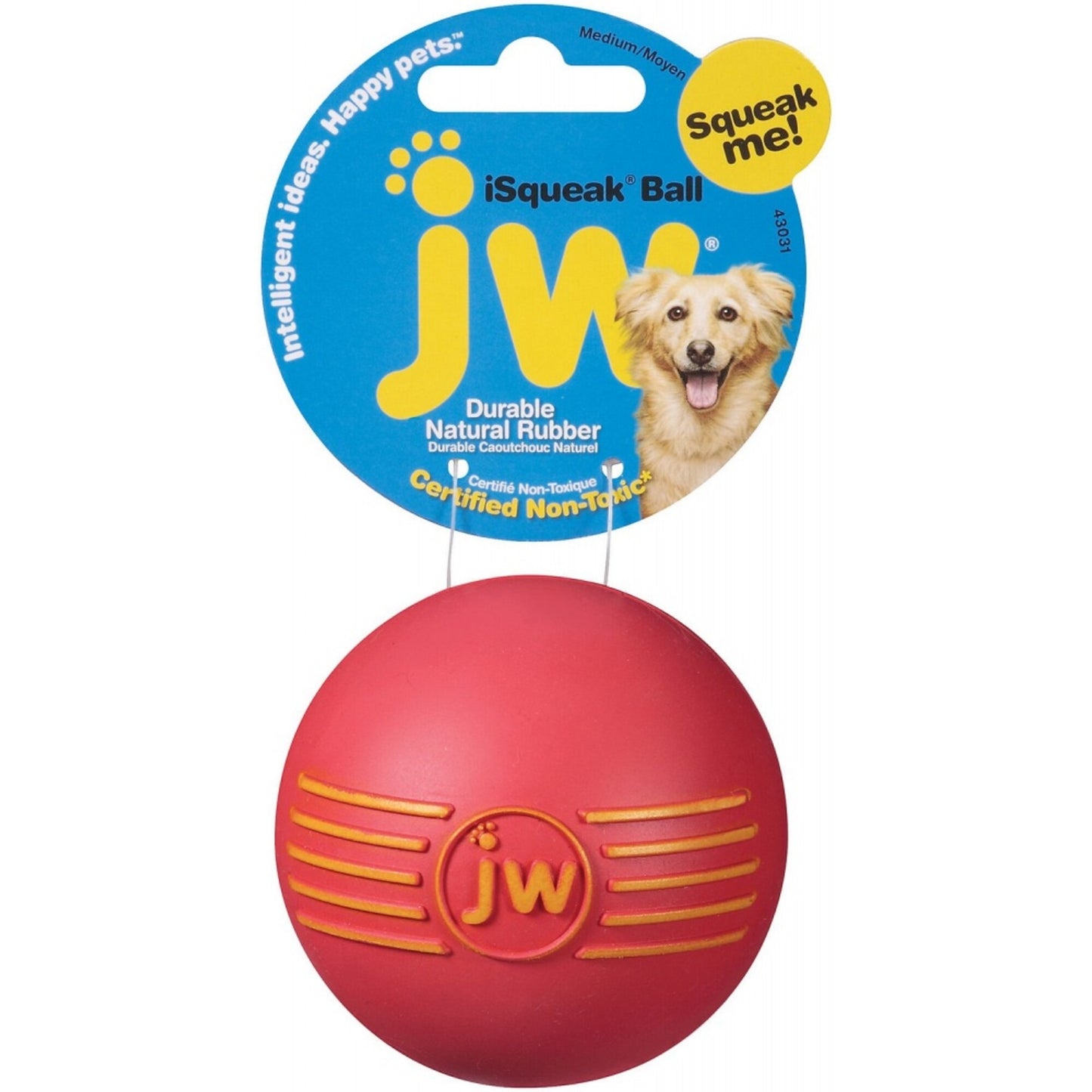 JW Pet iSqueak Ball Dog Toy