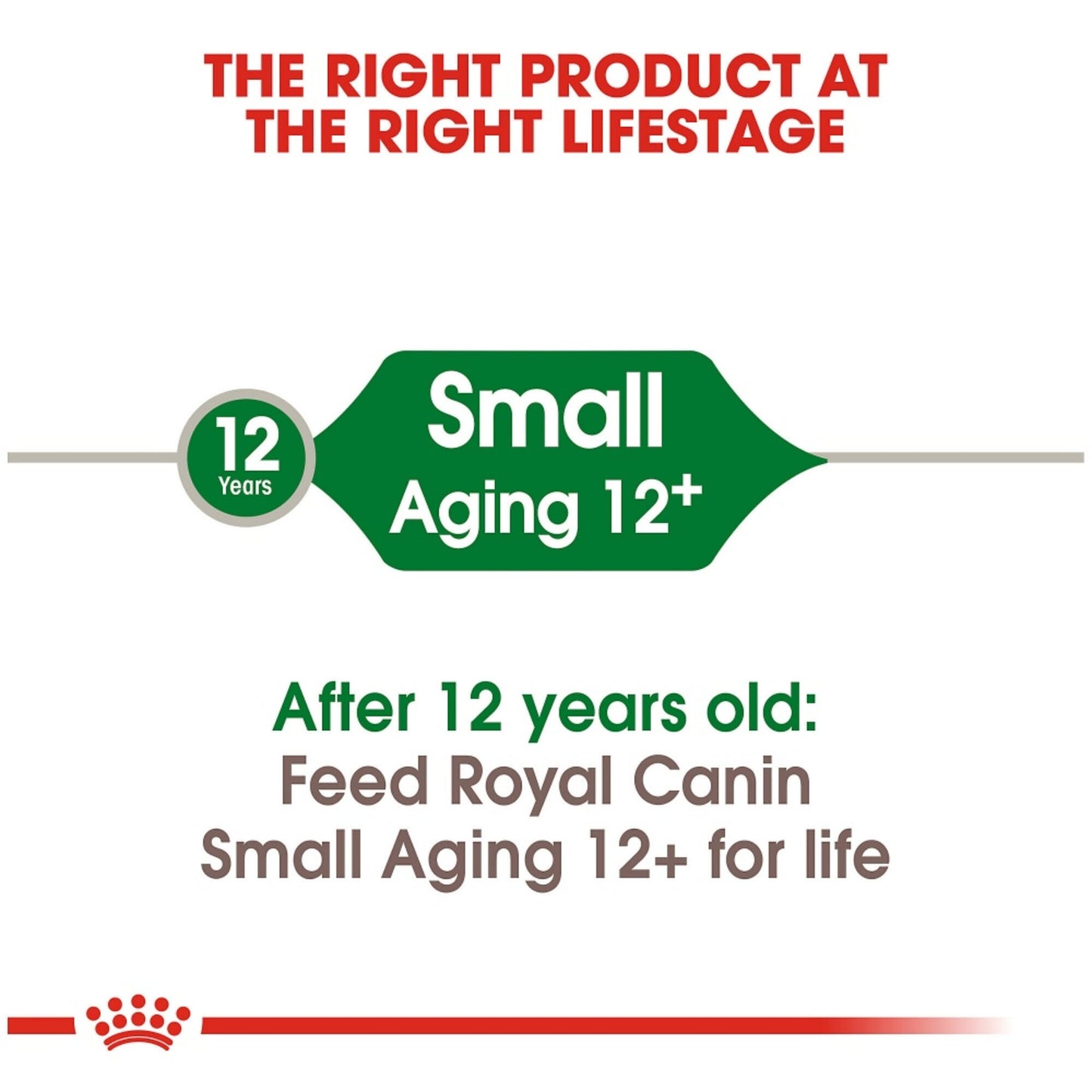 Royal Canin Size Health Nutrition Small Breed Aging Care +12 Dry Dog Food