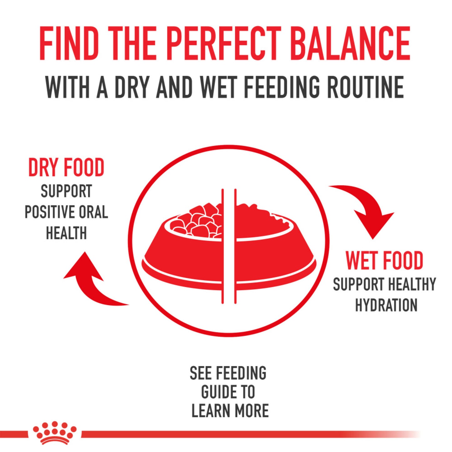 Royal Canin Medium Weight Care Dry Dog Food
