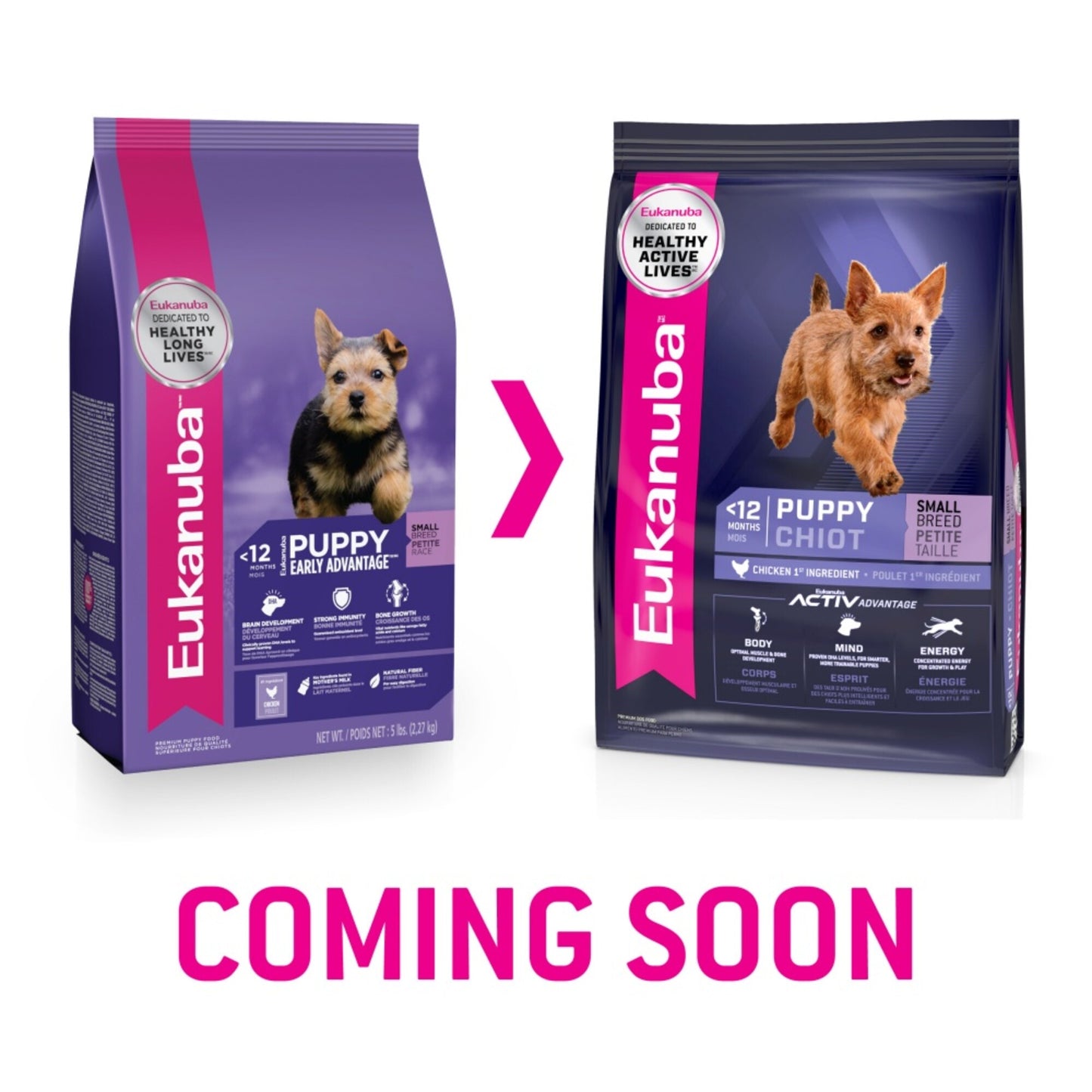 Eukanuba Puppy Early Advantage Small Breed Puppy Chicken Formula Dry Dog Food