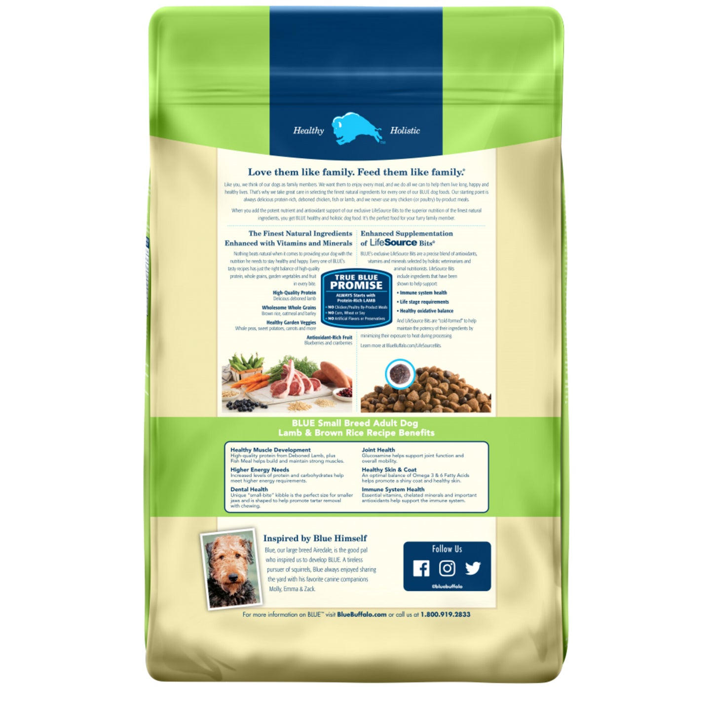 Blue Buffalo Life Protection Natural Lamb & Brown Rice Recipe Small Breed Adult Dry Dog Food