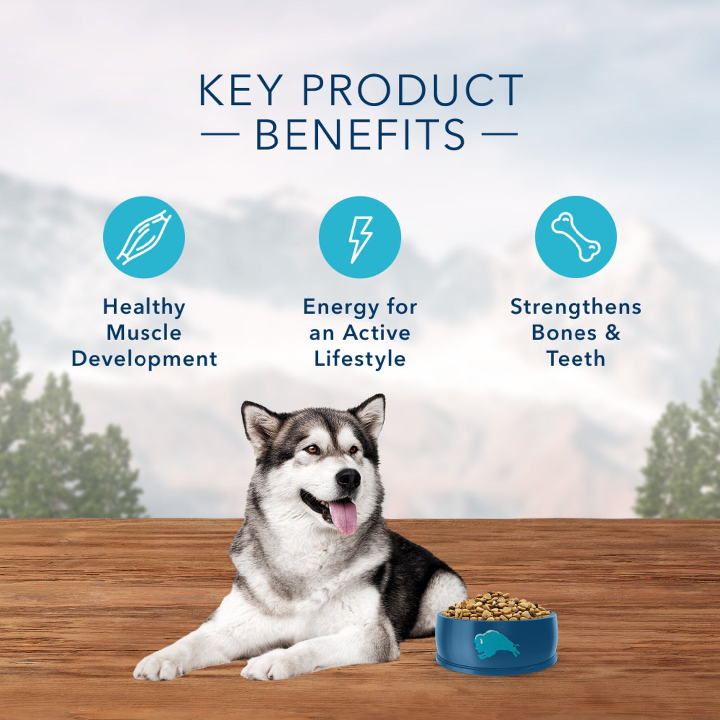 Blue Buffalo Wilderness Rocky Mountain Grain Free Rabbit High Protein Recipe Adult Dry Dog Food
