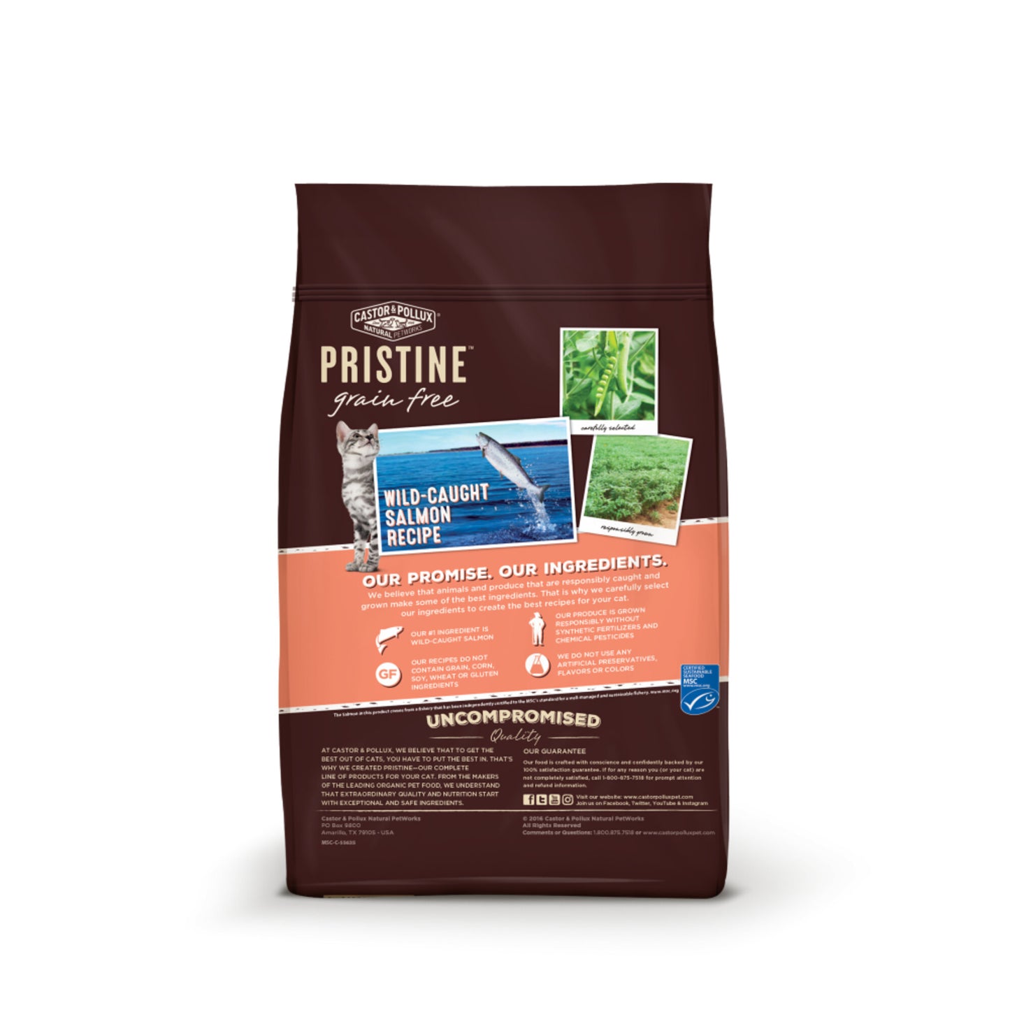 Castor and Pollux Pristine Grain Free Wild Caught Salmon Recipe Dry Cat Food