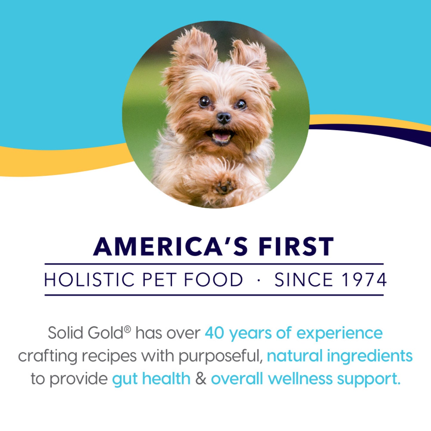 Solid Gold Grain Free Mighty Mini Small Breed with Chicken Dog Food Tray