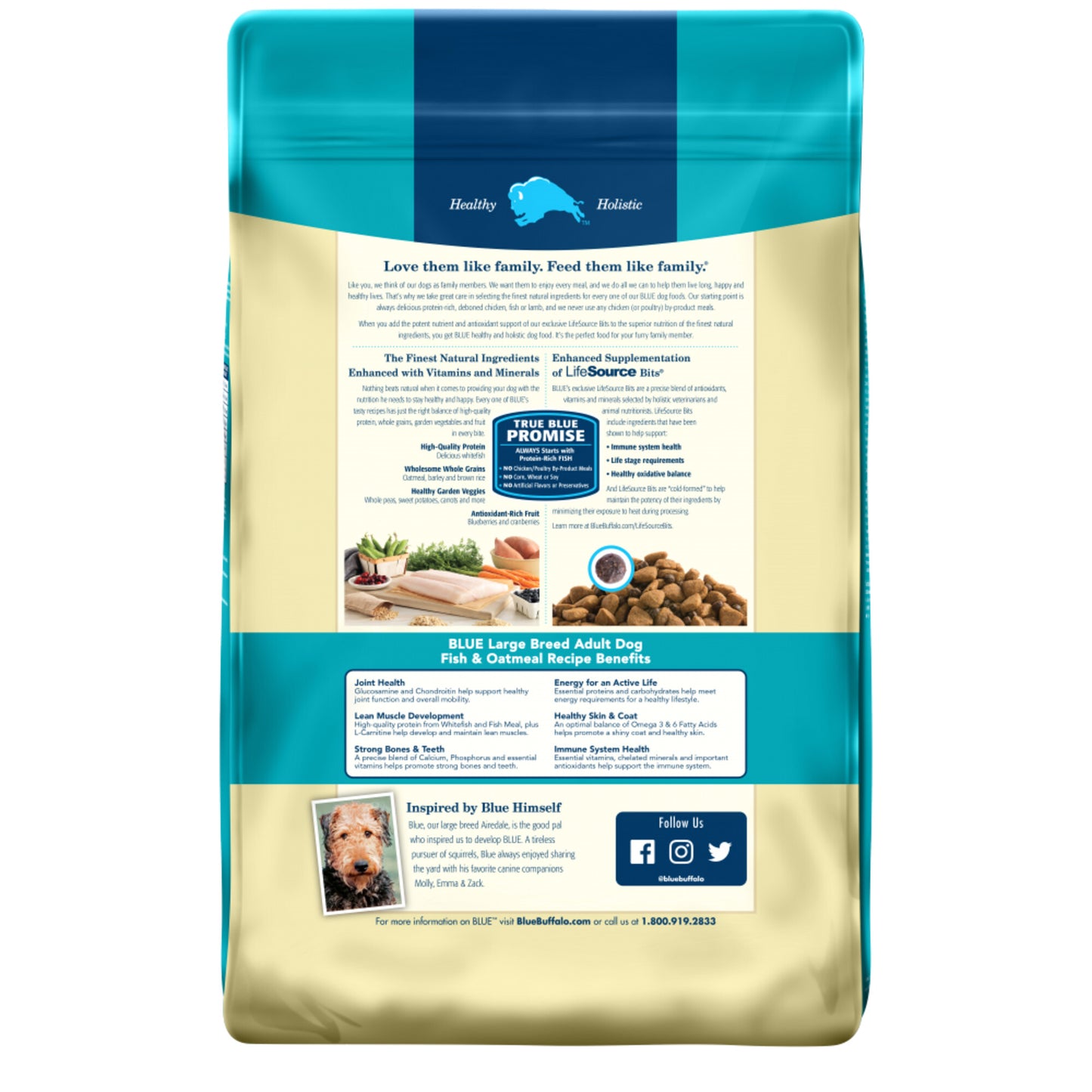 Blue Buffalo Life Protection Natural Fish & Oatmeal Recipe Large Breed Adult Dry Dog Food