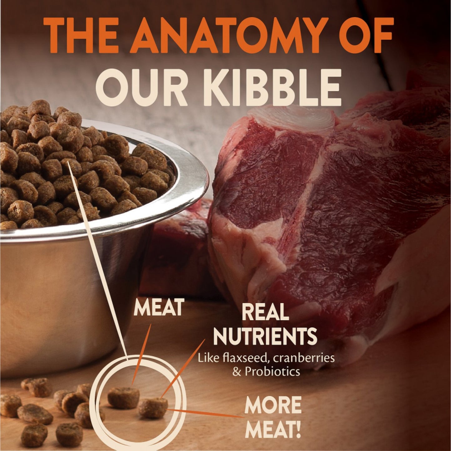 Wellness CORE Natural Grain Free Original Turkey, Chicken, Whitefish & Herring Recipe Dry Cat Food