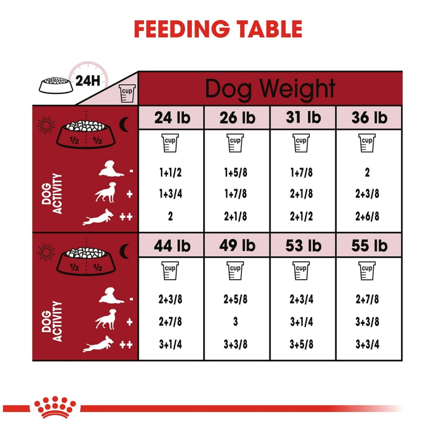 Royal Canin Size Health Nutrition Medium Adult 7+ Dry Dog Food