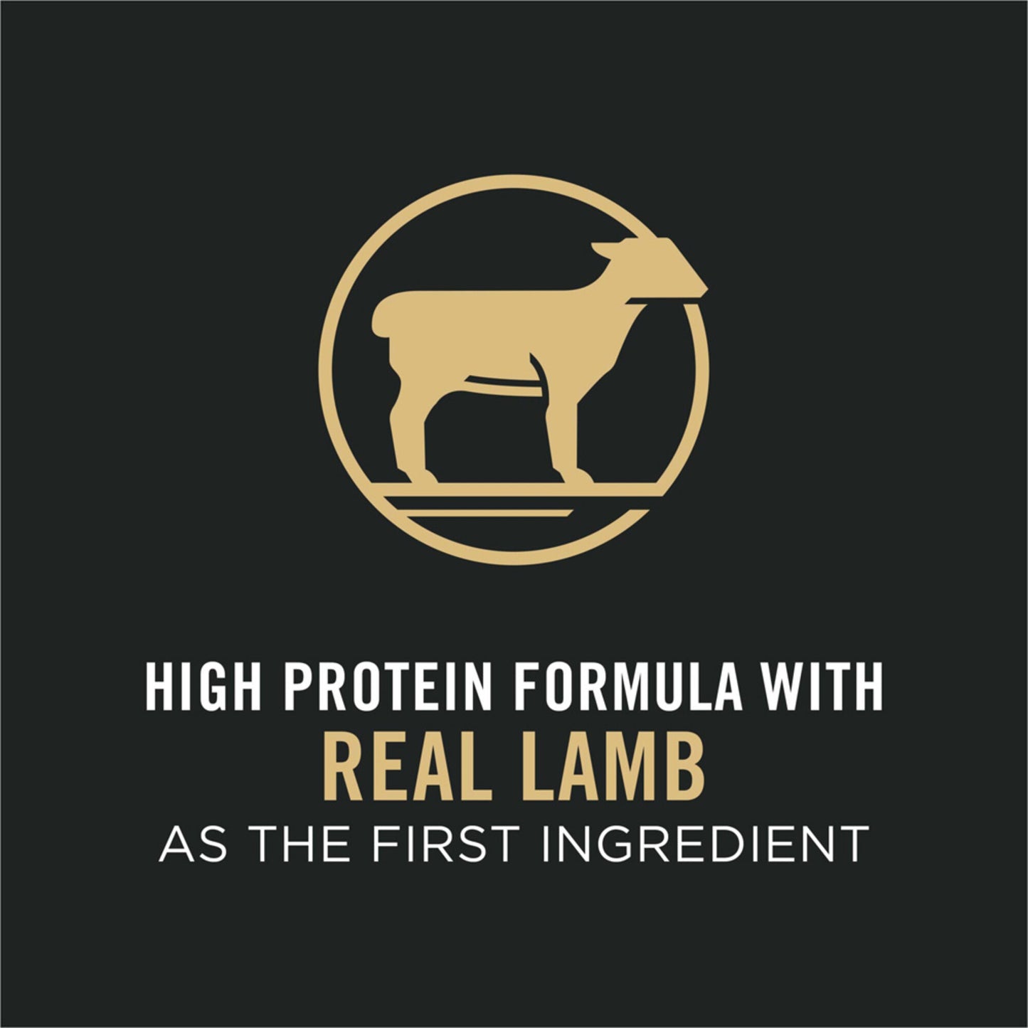 Purina Pro Plan Small Bites Lamb & Rice Formula High Protein, High Energy Dry Dog Food