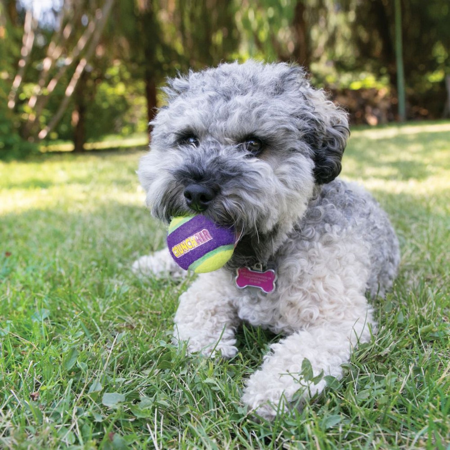 KONG Crunch Air Ball Dog Toy