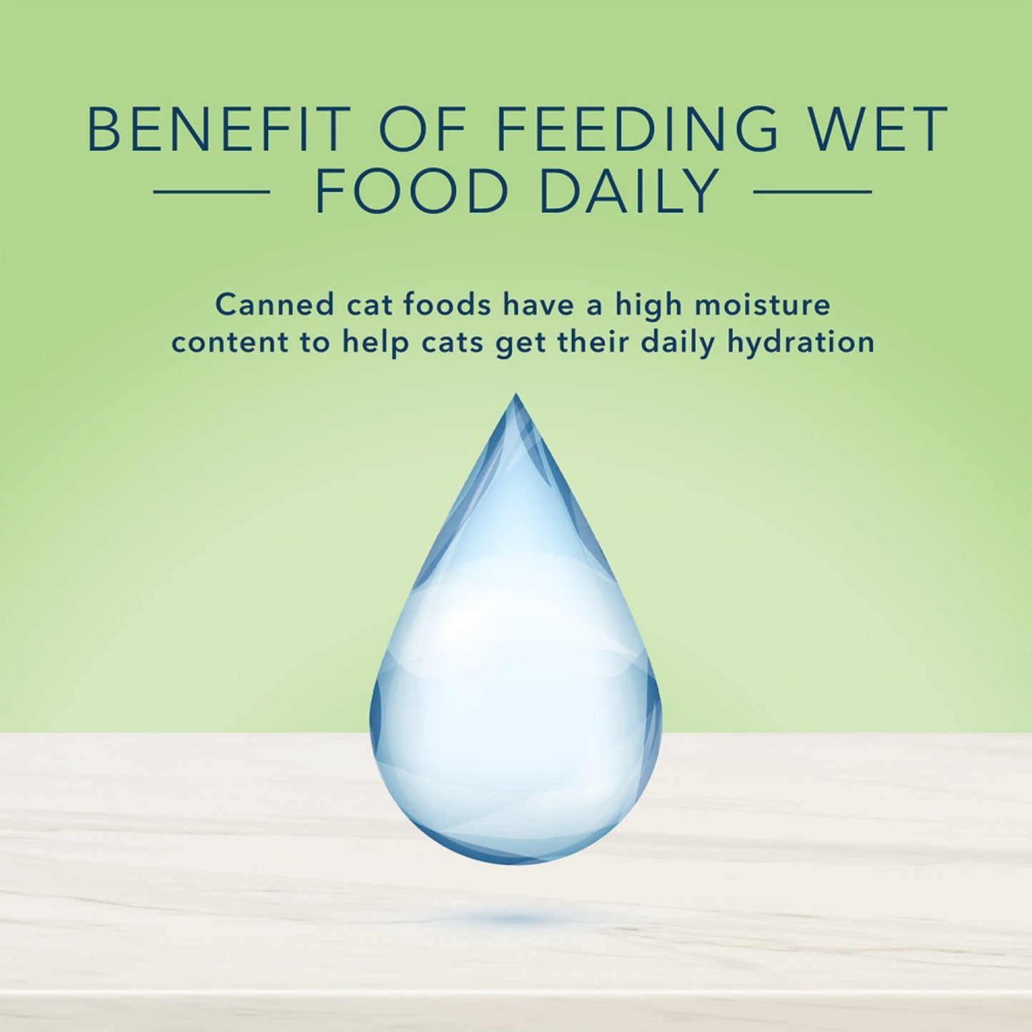 Blue Buffalo True Solutions Perfect Coat Natural Skin & Coat Care Whitefish Recipe Adult Wet Cat Food