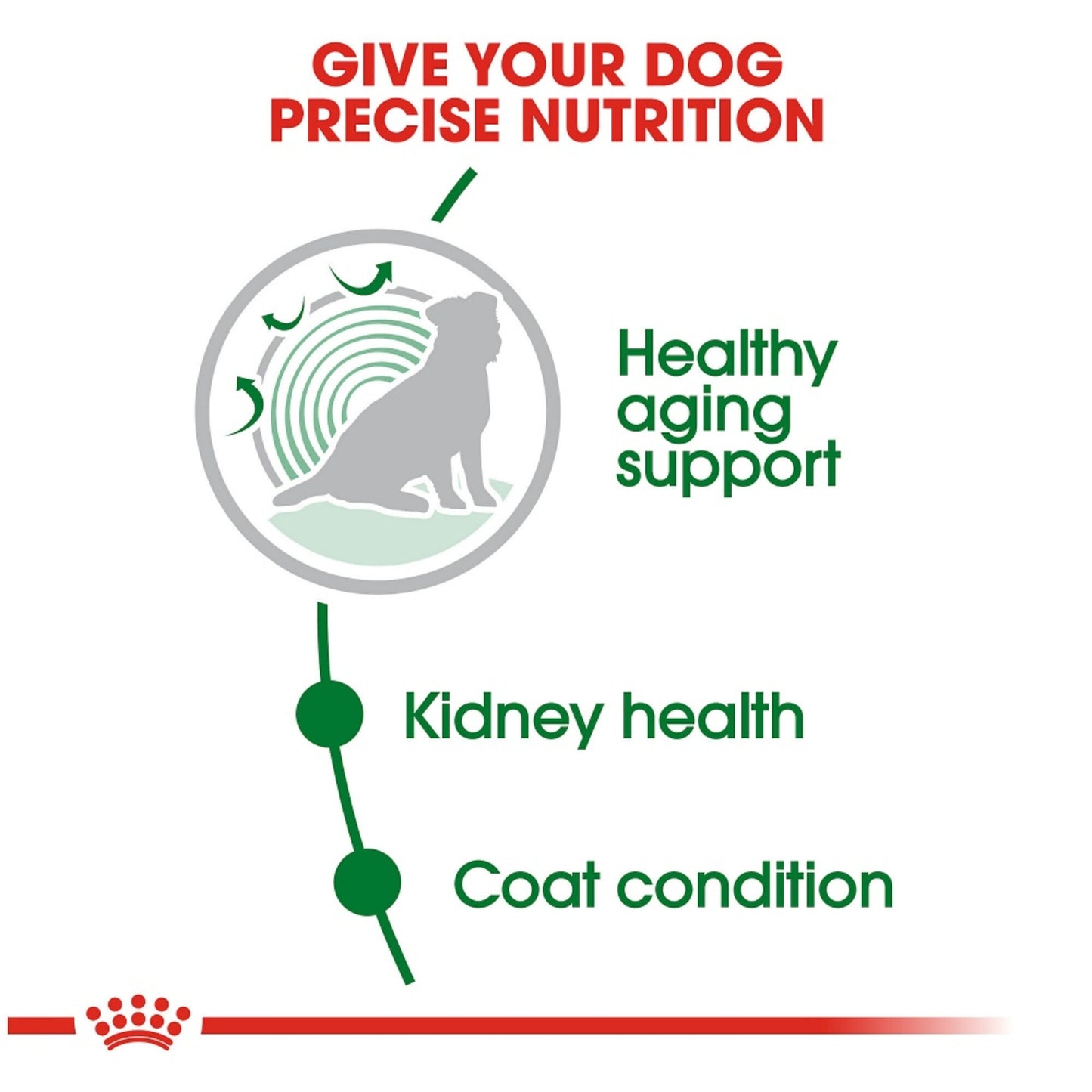Royal Canin Size Health Nutrition Small Breed Aging Care +12 Dry Dog Food