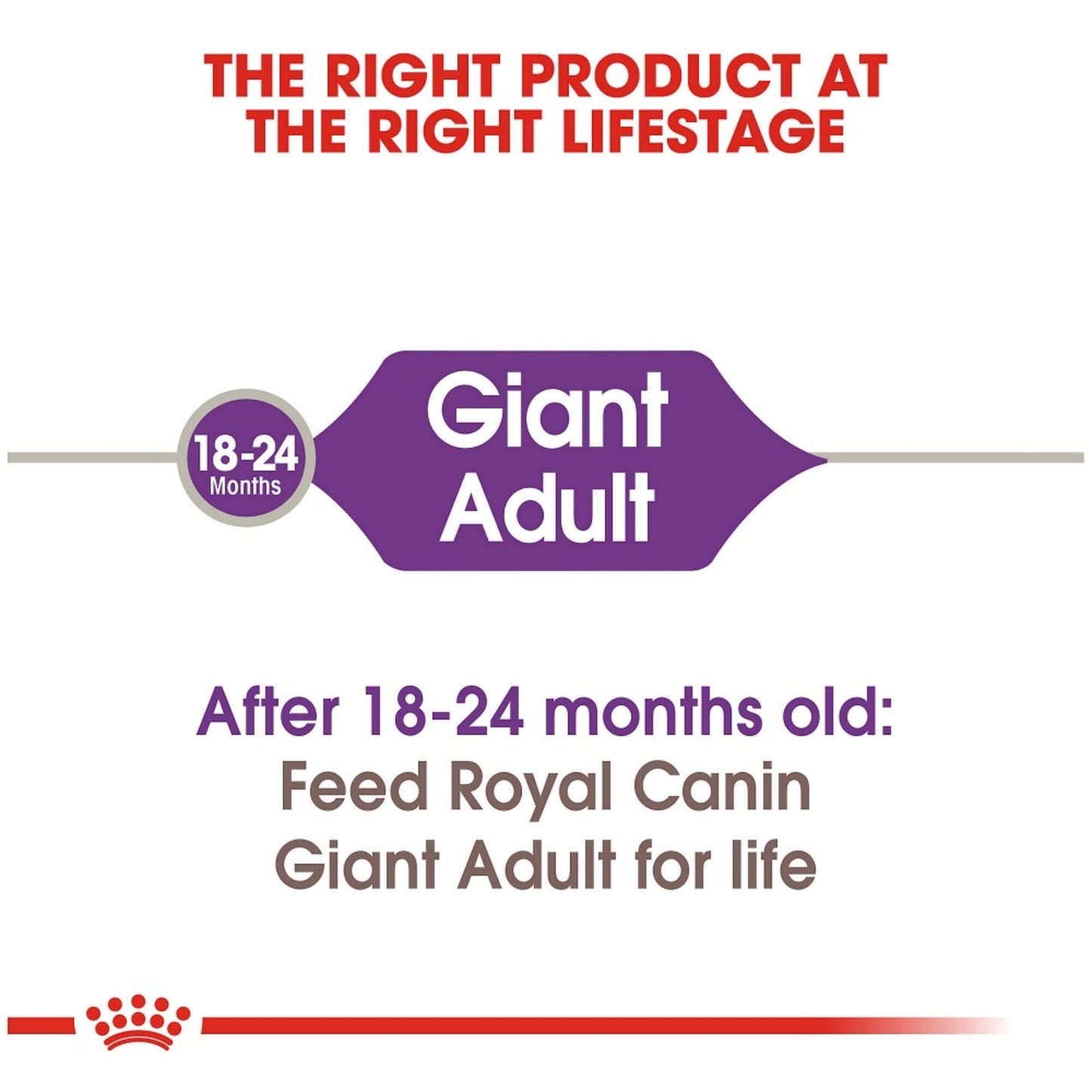 Royal Canin Size Health Nutrition Giant Adult Dry Dog Food