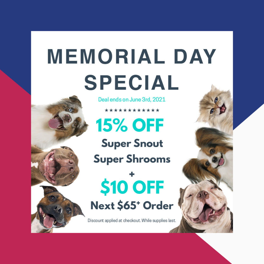 25% OFF