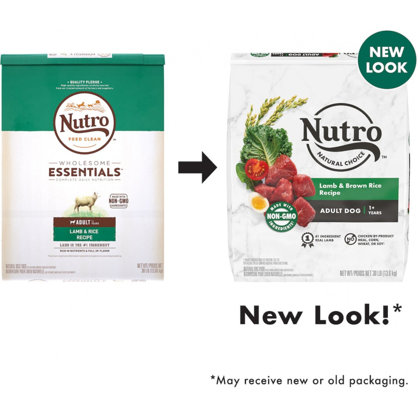 Nutro Wholesome Essentials Adult Pasture-Fed Lamb & Rice Dry Dog Food