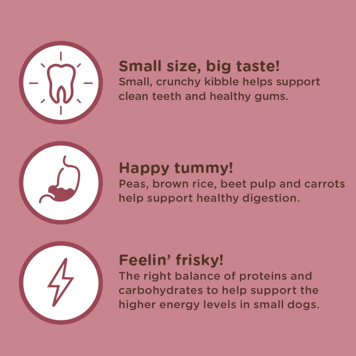 Rachael Ray Nutrish Little Bites Small Breed Chicken & Veggies Recipe Dry Dog Food