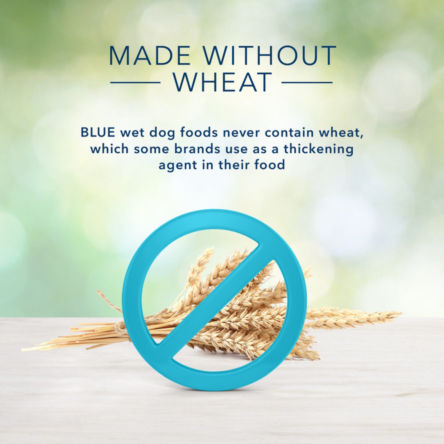 Blue Buffalo Freedom Grain Free Chicken Recipe Puppy Canned Dog Food