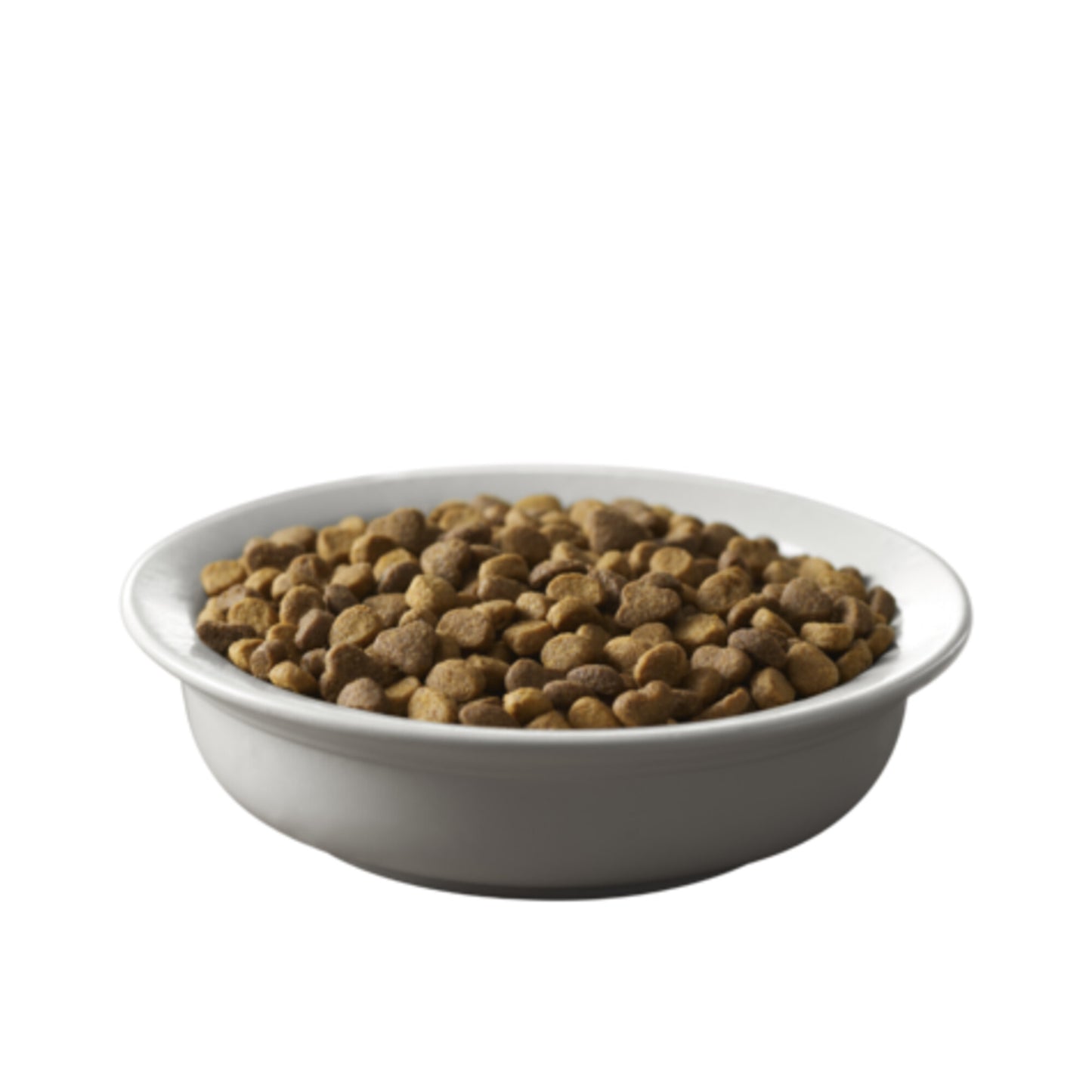 Purina Pro Plan Savor Salmon & Rice Formula Adult Dry Cat Food