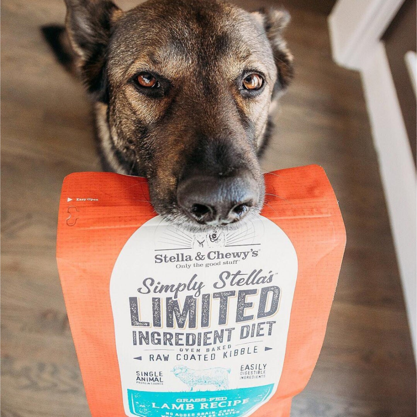 Stella & Chewy's Simply Stella's Limited Ingredient Diet Grass Fed Lamb Recipe Dry Dog Food