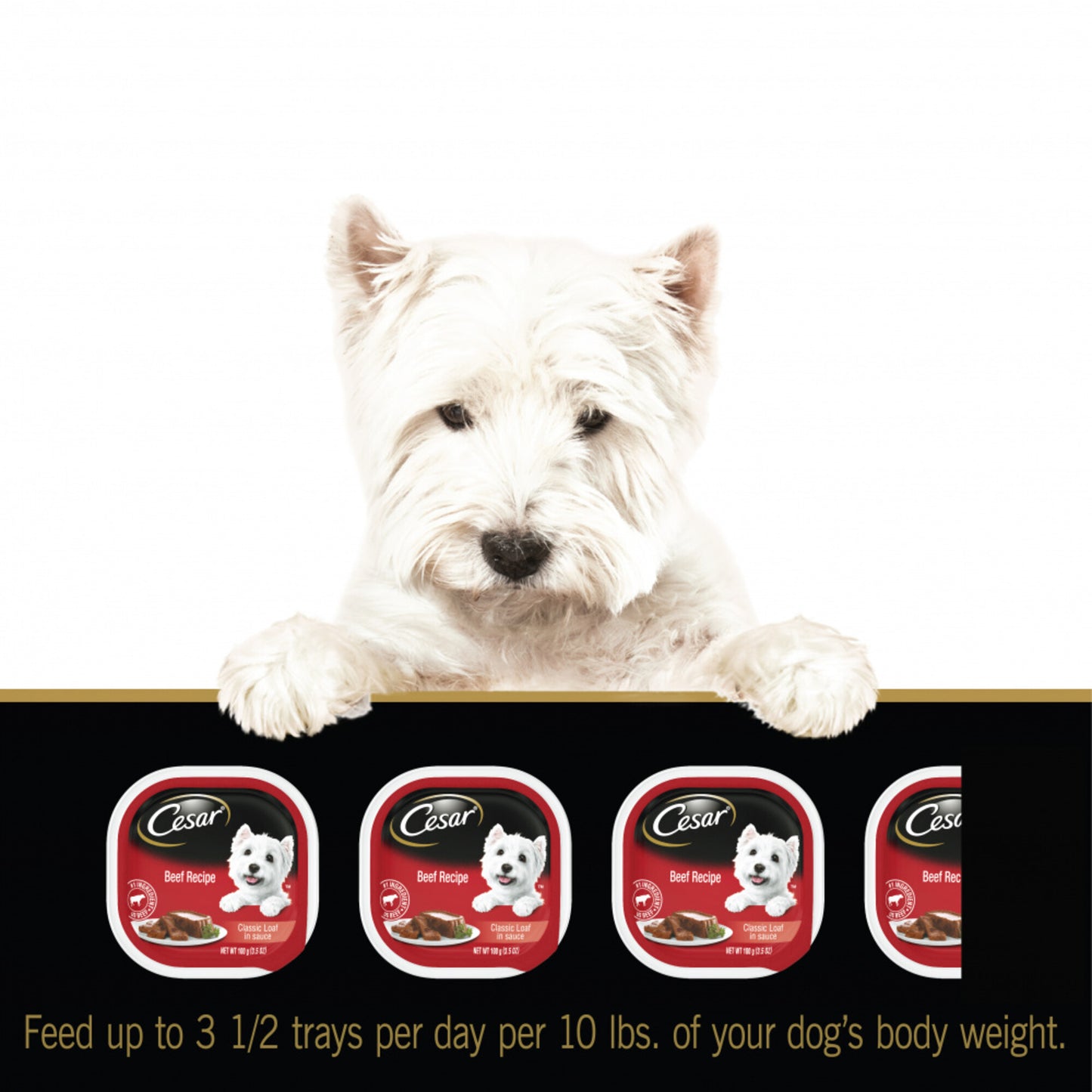 Cesar Soft Classic Loaf In Sauce Beef, Filet Mignon, Grilled Chicken & Porterhouse Steak Wet Dog Food Variety Pack