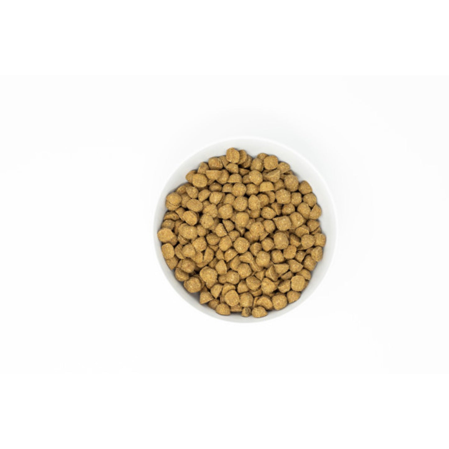 Stella & Chewy's Raw Coated Kibble With Wholesome Grains Cage Free Duck Recipe Dry Dog Food