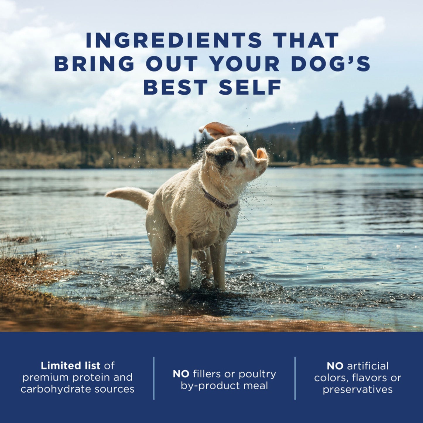 Natural Balance L.I.D. Limited Ingredient Diets Grain Free Adult Sweet Potato & Chicken Small Breed Bites Dry Dog Food