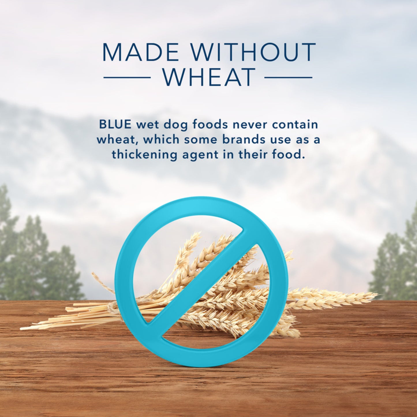 Blue Buffalo Wilderness Rocky Mountain Recipe Grain Free Senior Red Meat Dinner Canned Dog Food