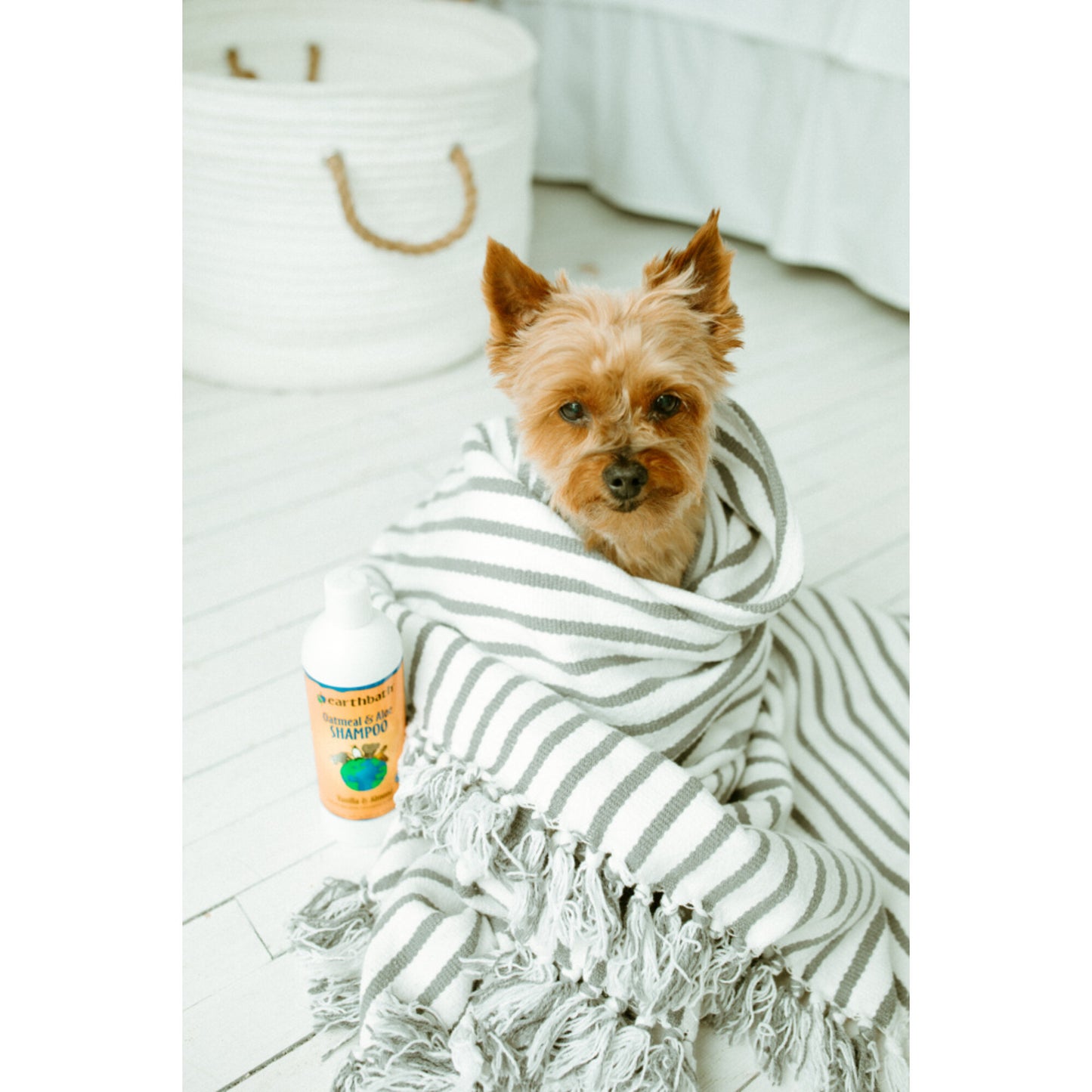 Earthbath Oatmeal and Aloe Shampoo for Dogs and Cats